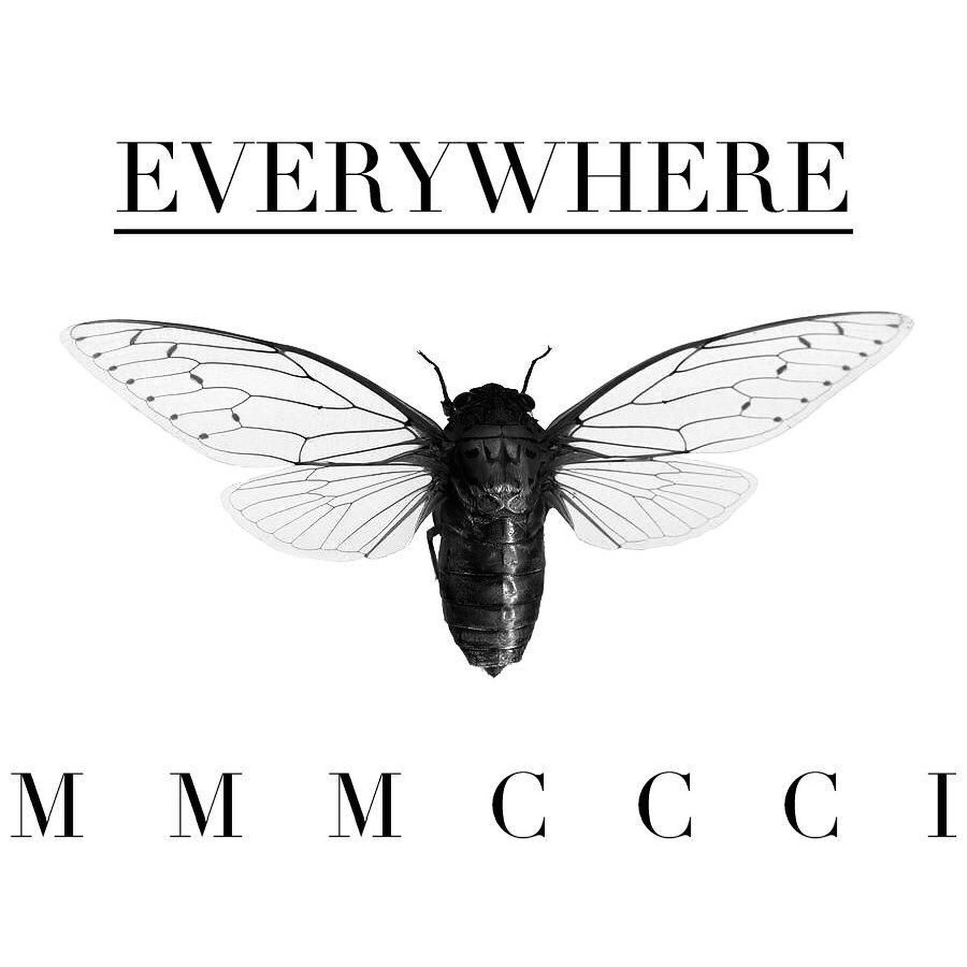 Cicada Everywhere Mmmccci