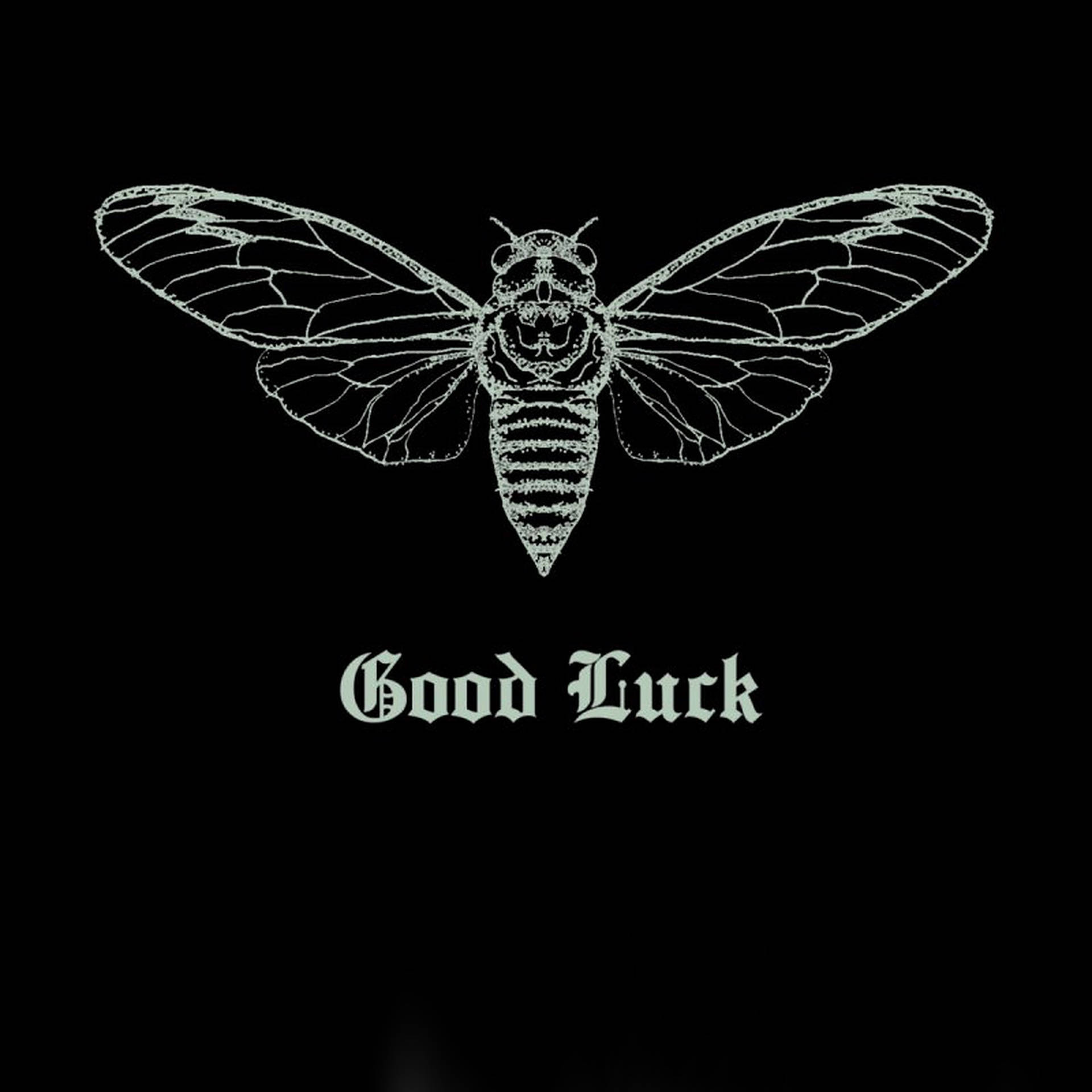 Cicada Good Luck Background