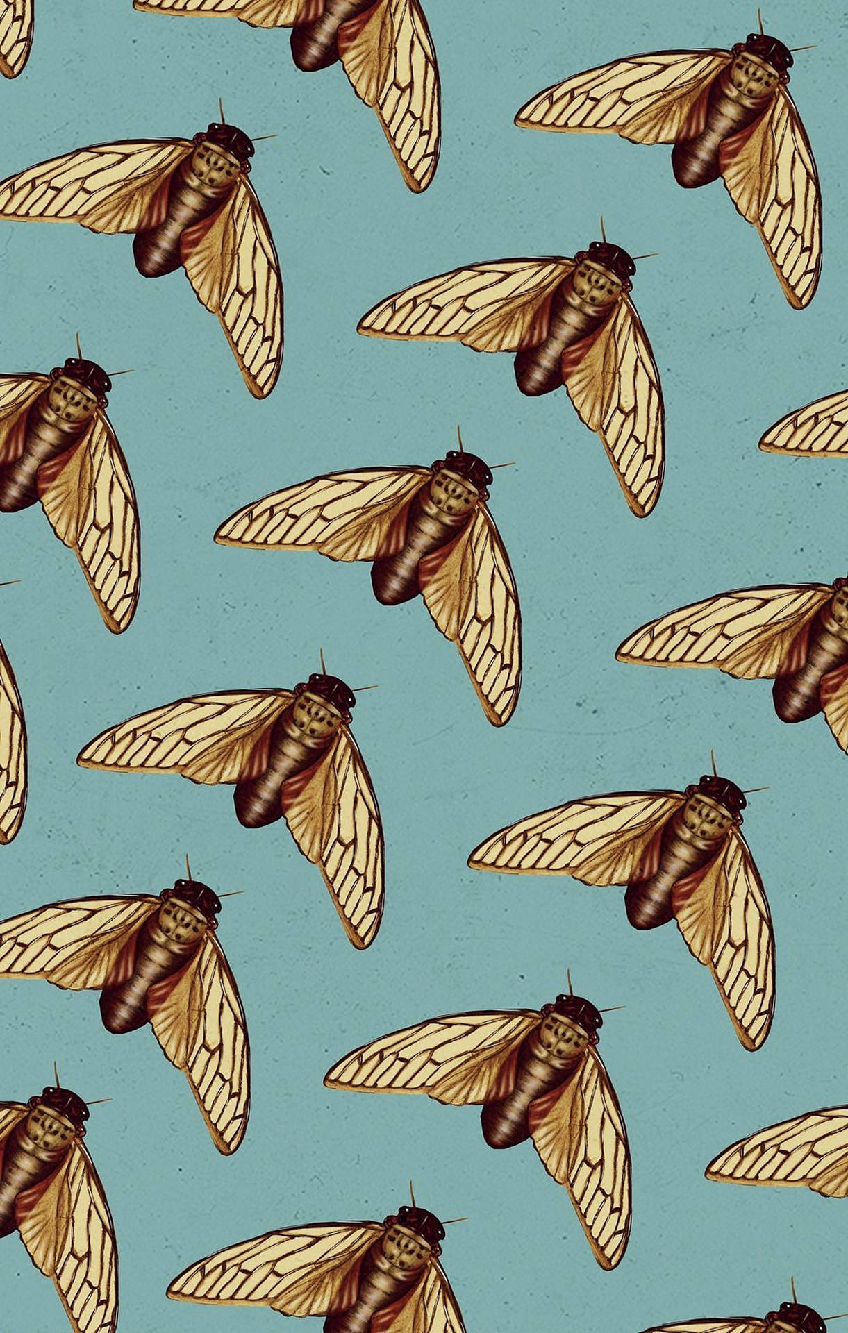 Cicada Insect Pattern