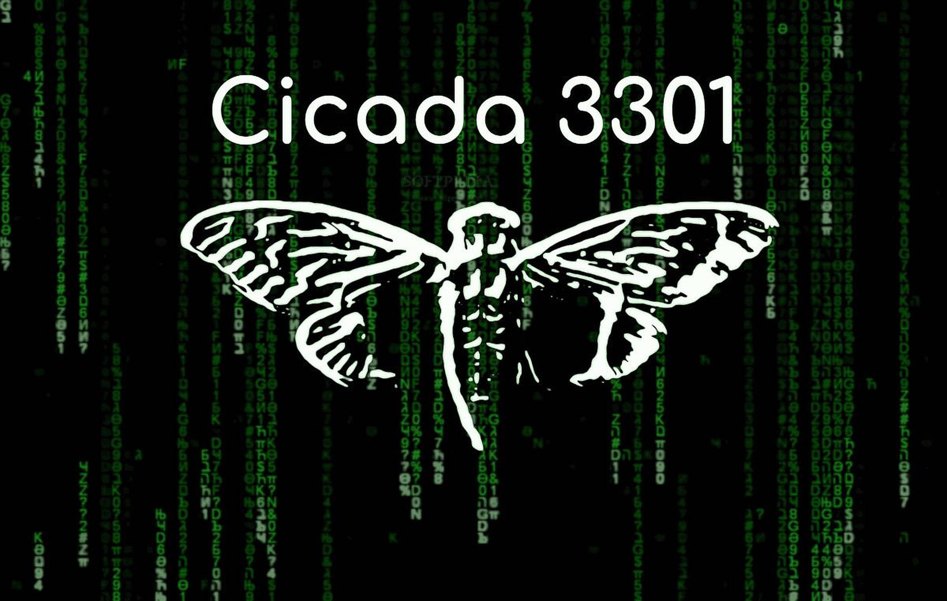 Cicada Matrix Art Background