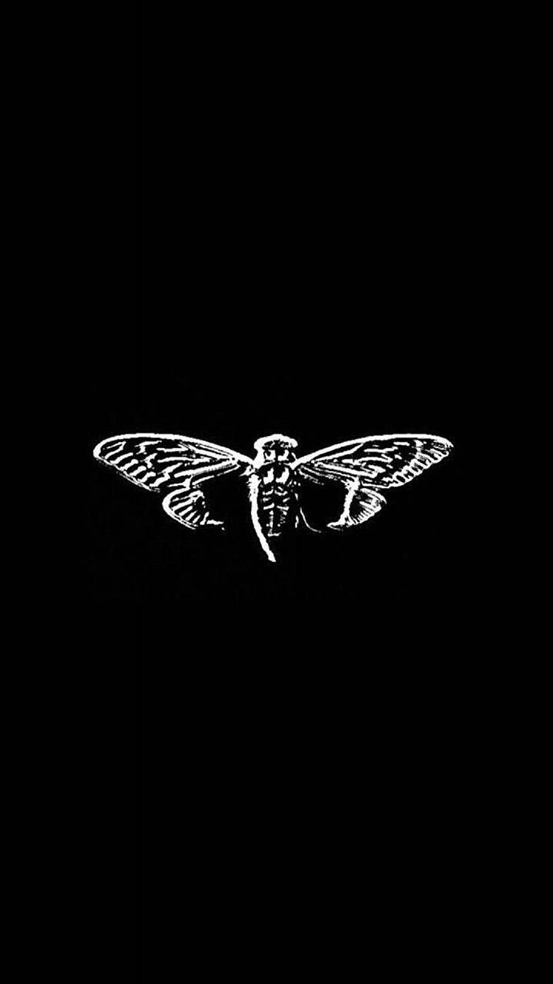 Cicada Minimalist Art Background