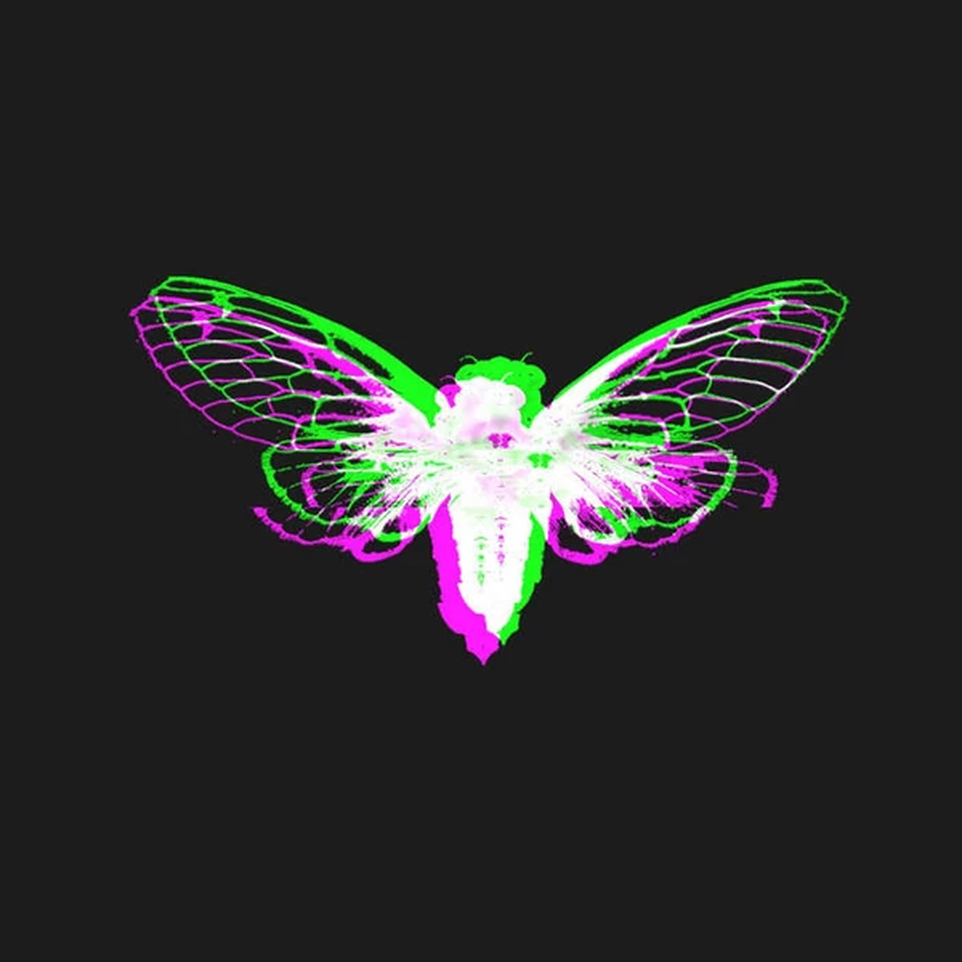 Cicada Pink And Green Art Background