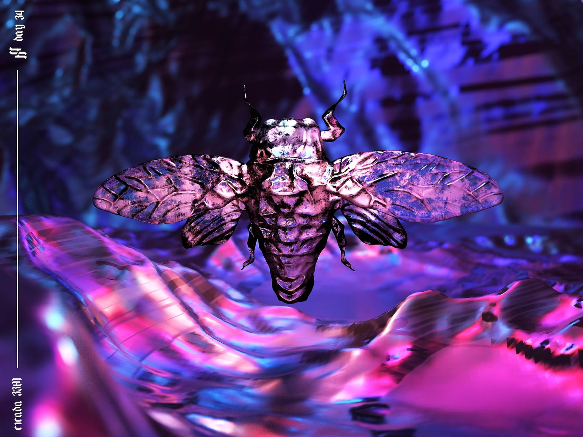 Cicada Purple Pink Art