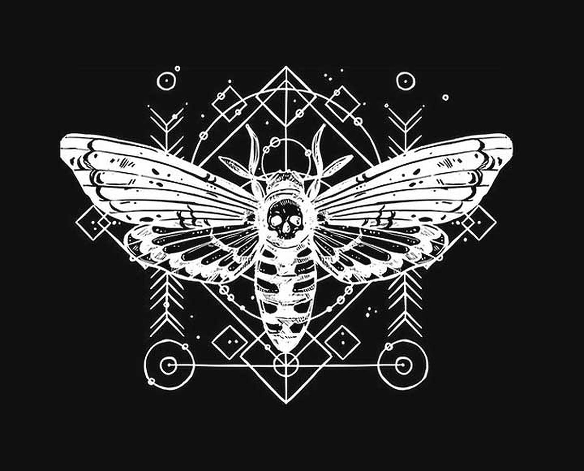 Cicada Skull Art Background