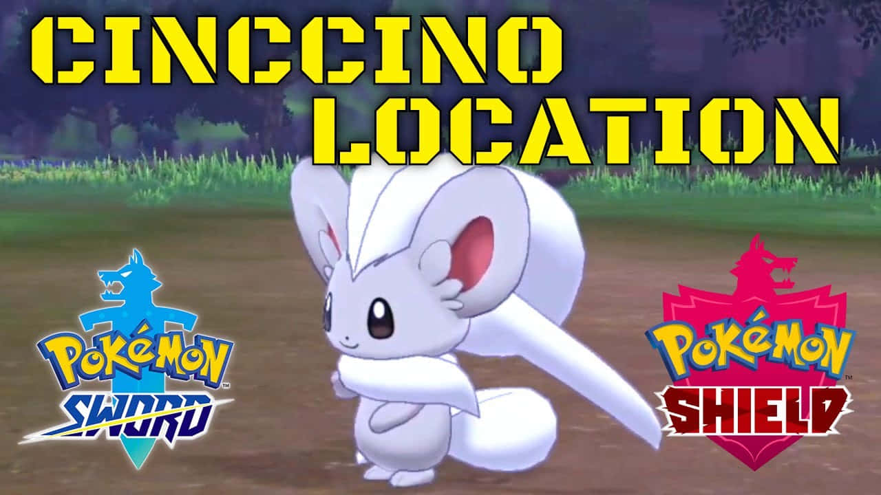 Cinccino Location In Video Game Background