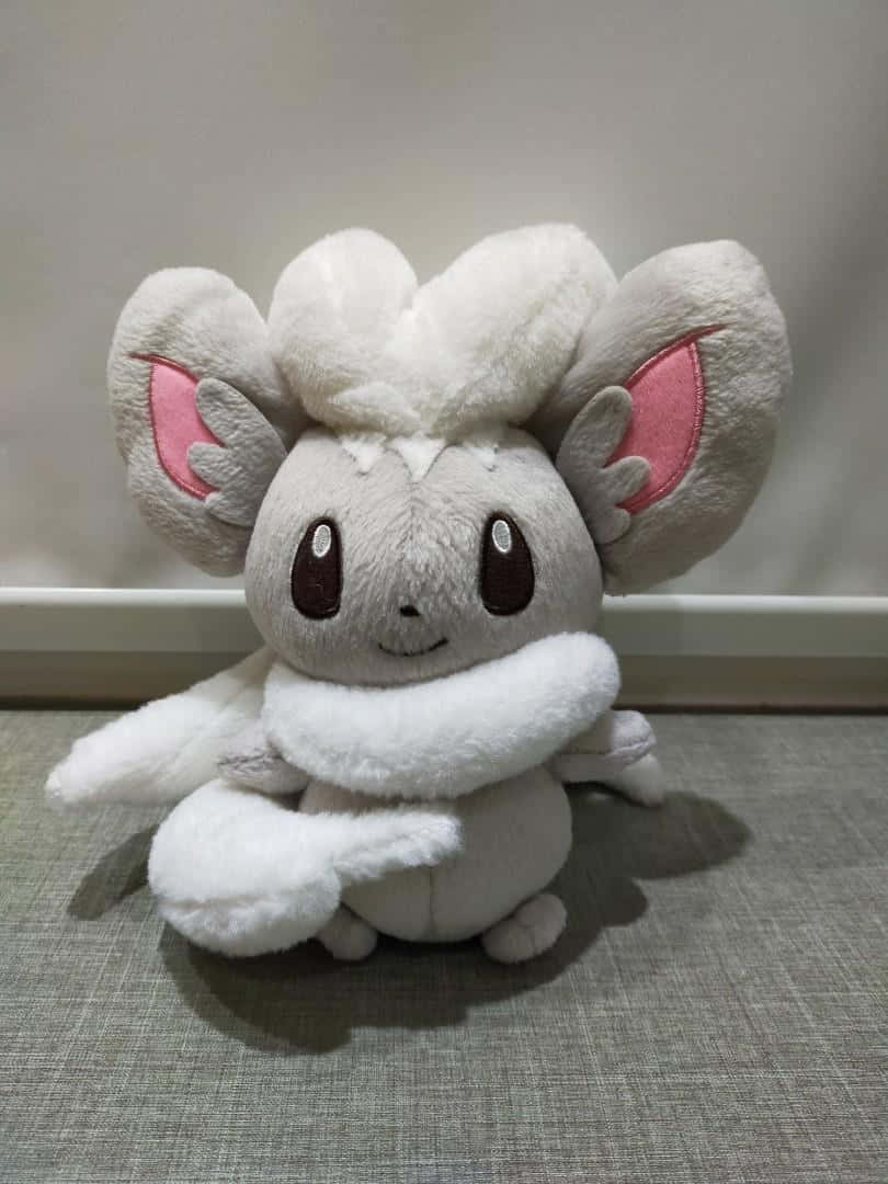Cinccino Plush Toy Background