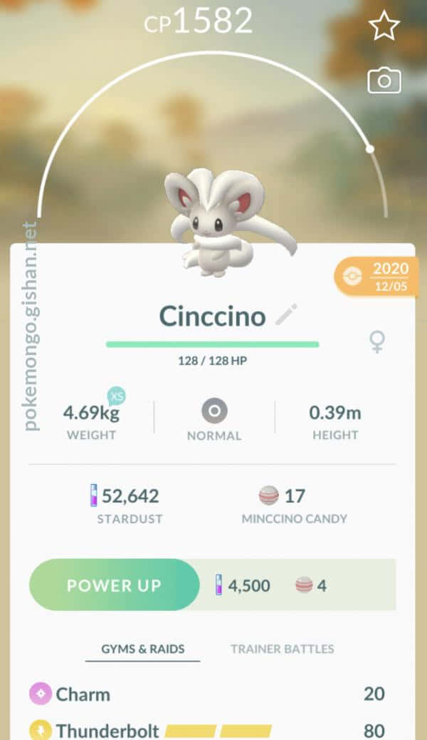 Cinccino Stats In Pokemon Go Background