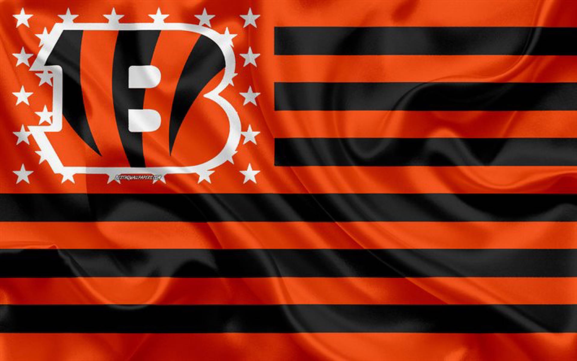 Cincinnati Bengals Flag Background