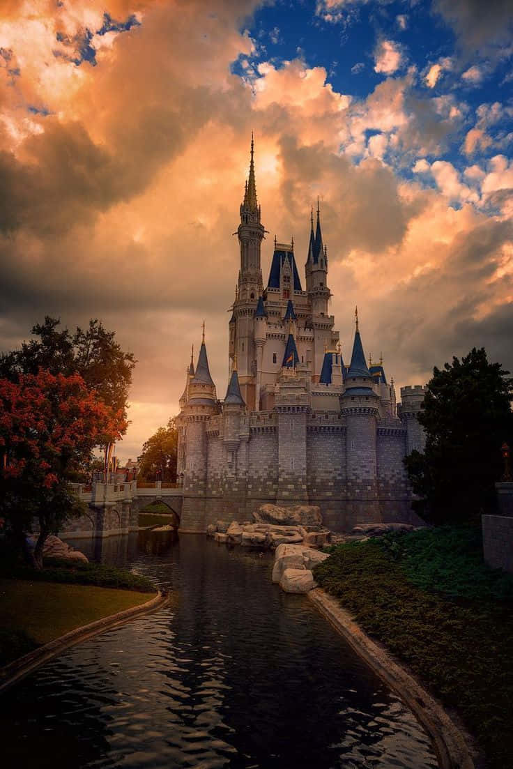 Cinderella Castle At Sunset Background