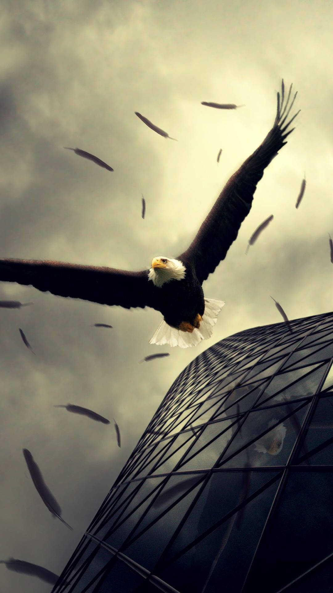 Cinematic Aguila Gliding Down A Building Background