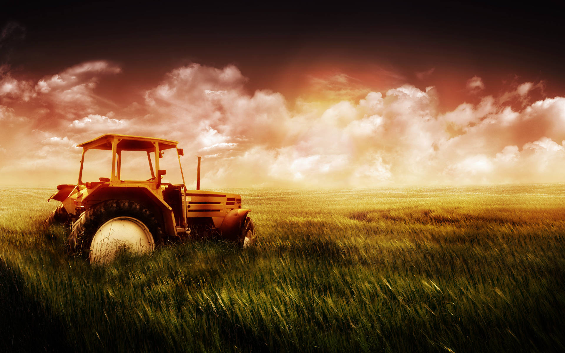 Cinematic Tractor On The Field Background