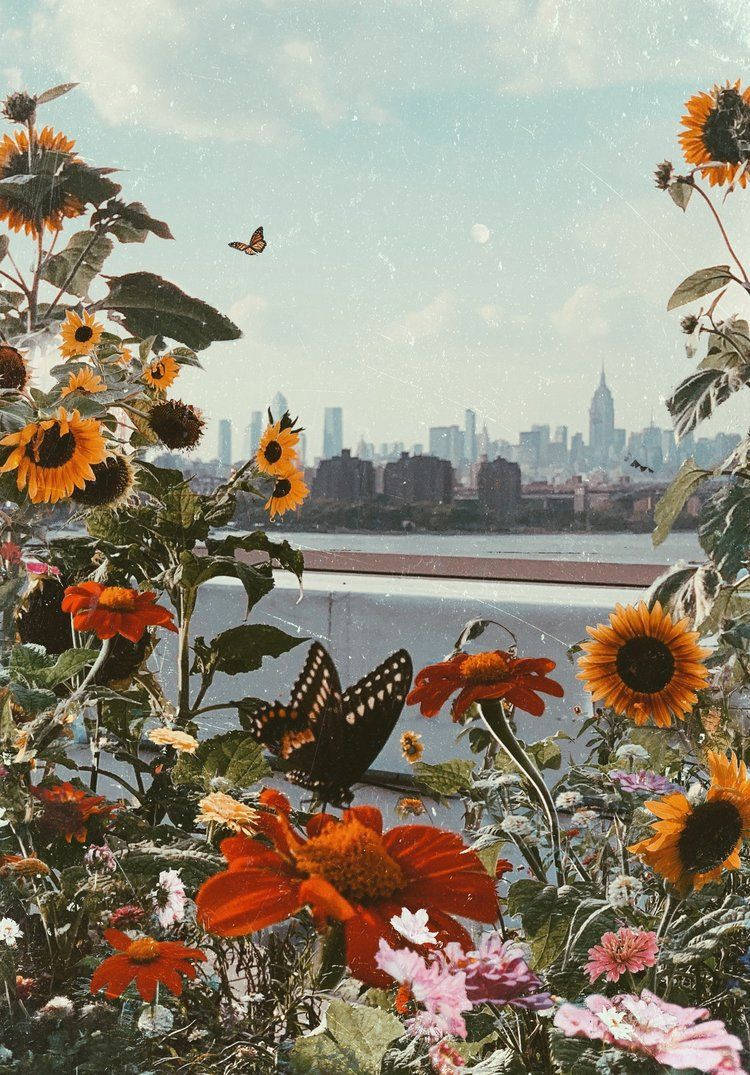 Cinematic Vintage Flower Aesthetic Skyline Background