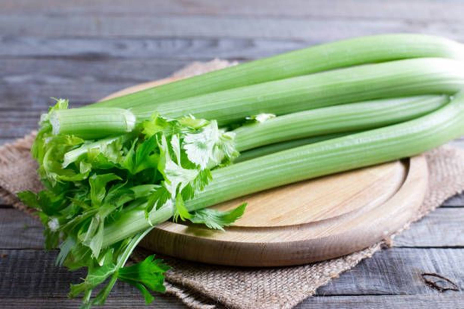 Circular Board Thick Stalk Celery Background