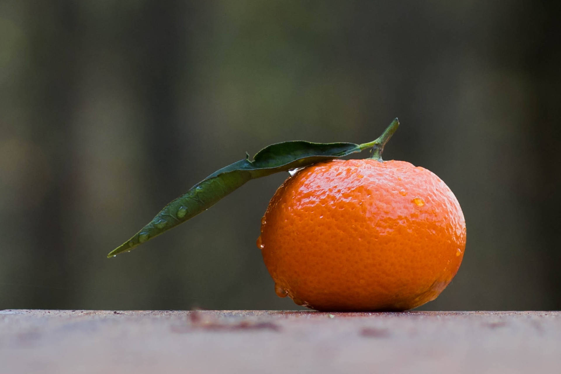 Citrus Fruit Clementine With Water Droplets