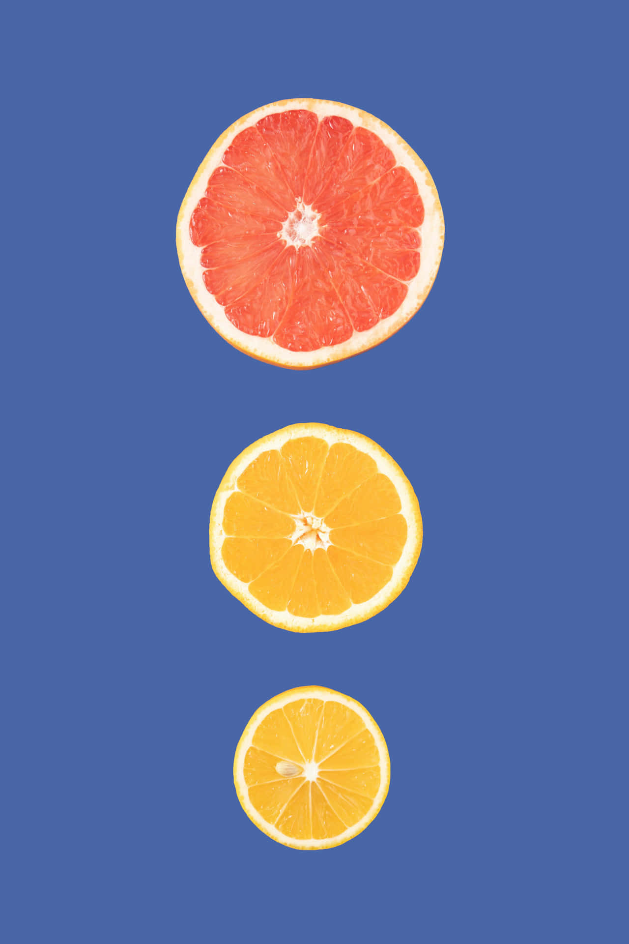 Citrus Fruit Slices Vertical