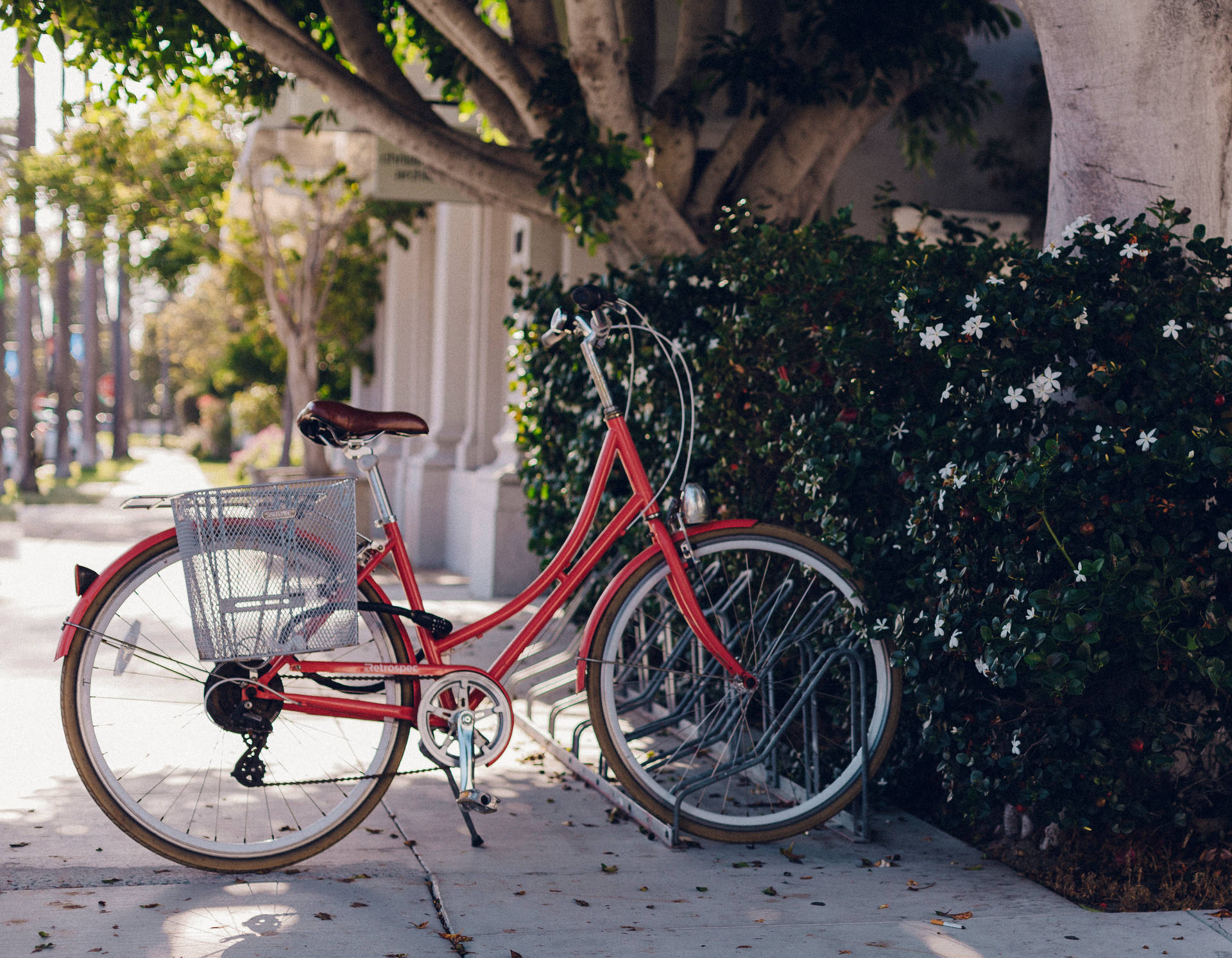 City Red Bike Background