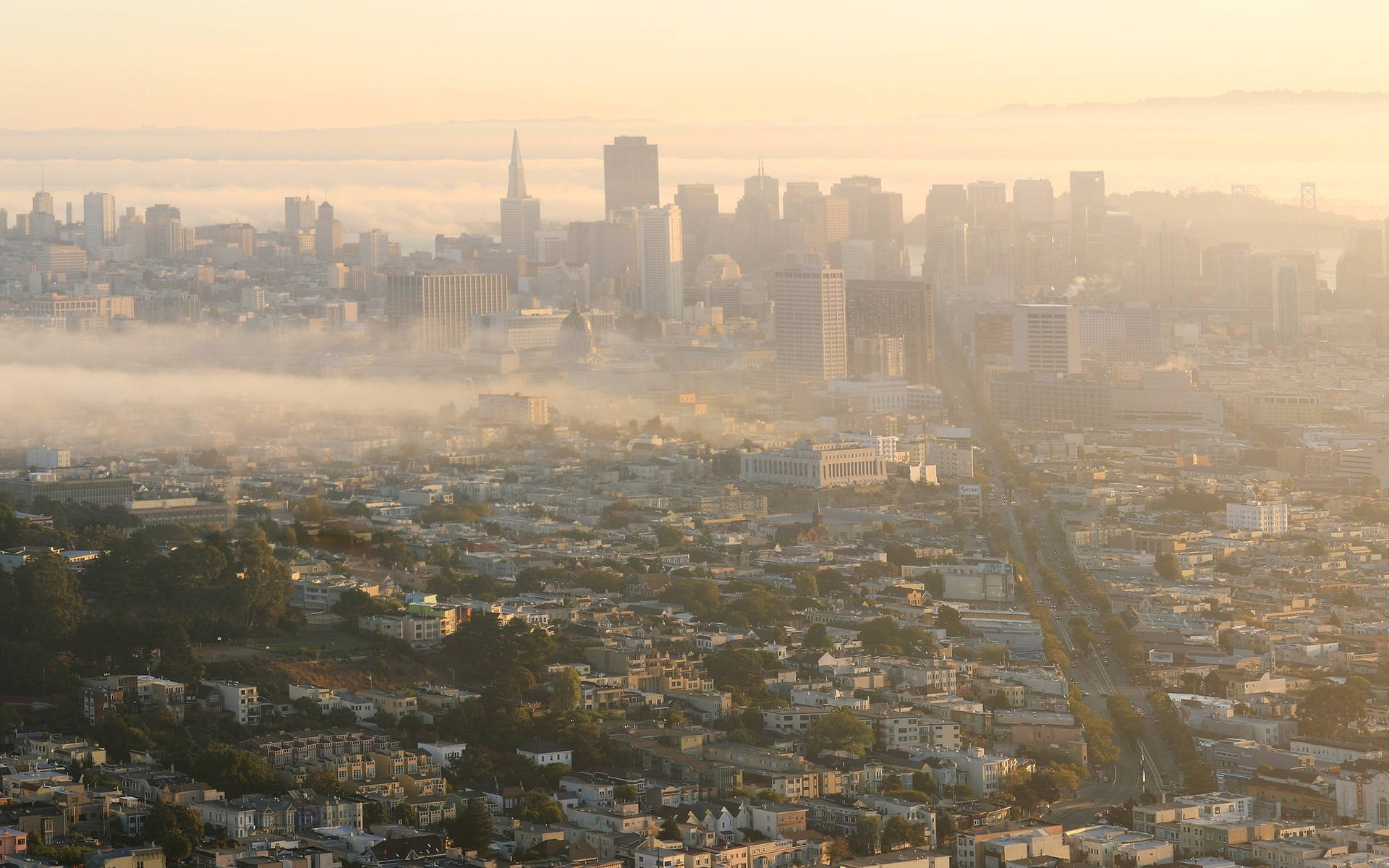 City View San Francisco Photography Background