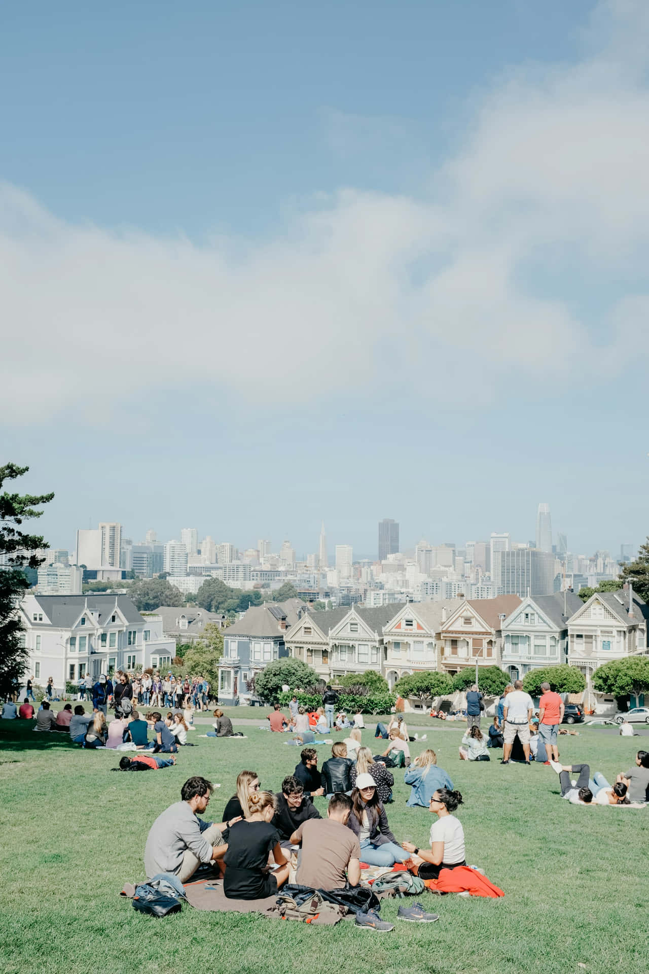 Cityscape Picnic Gathering.jpg Background