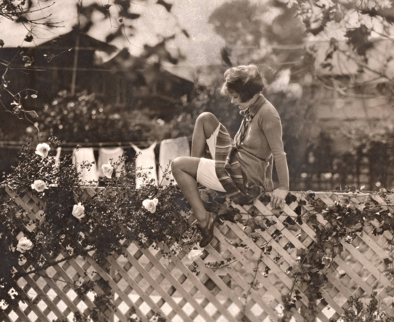 Clara Bow On A Fence Background