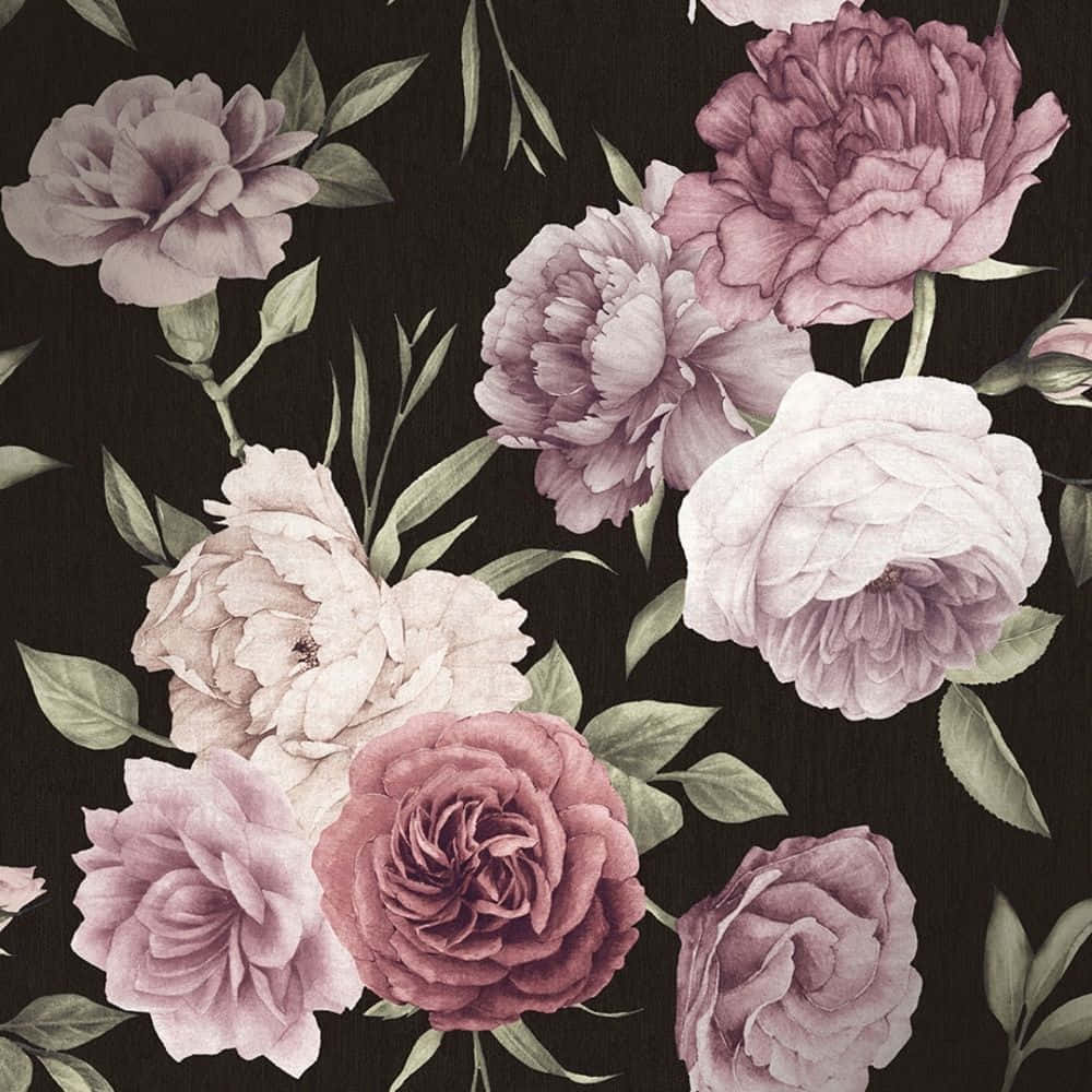 Classic Black And Pink Flower Background