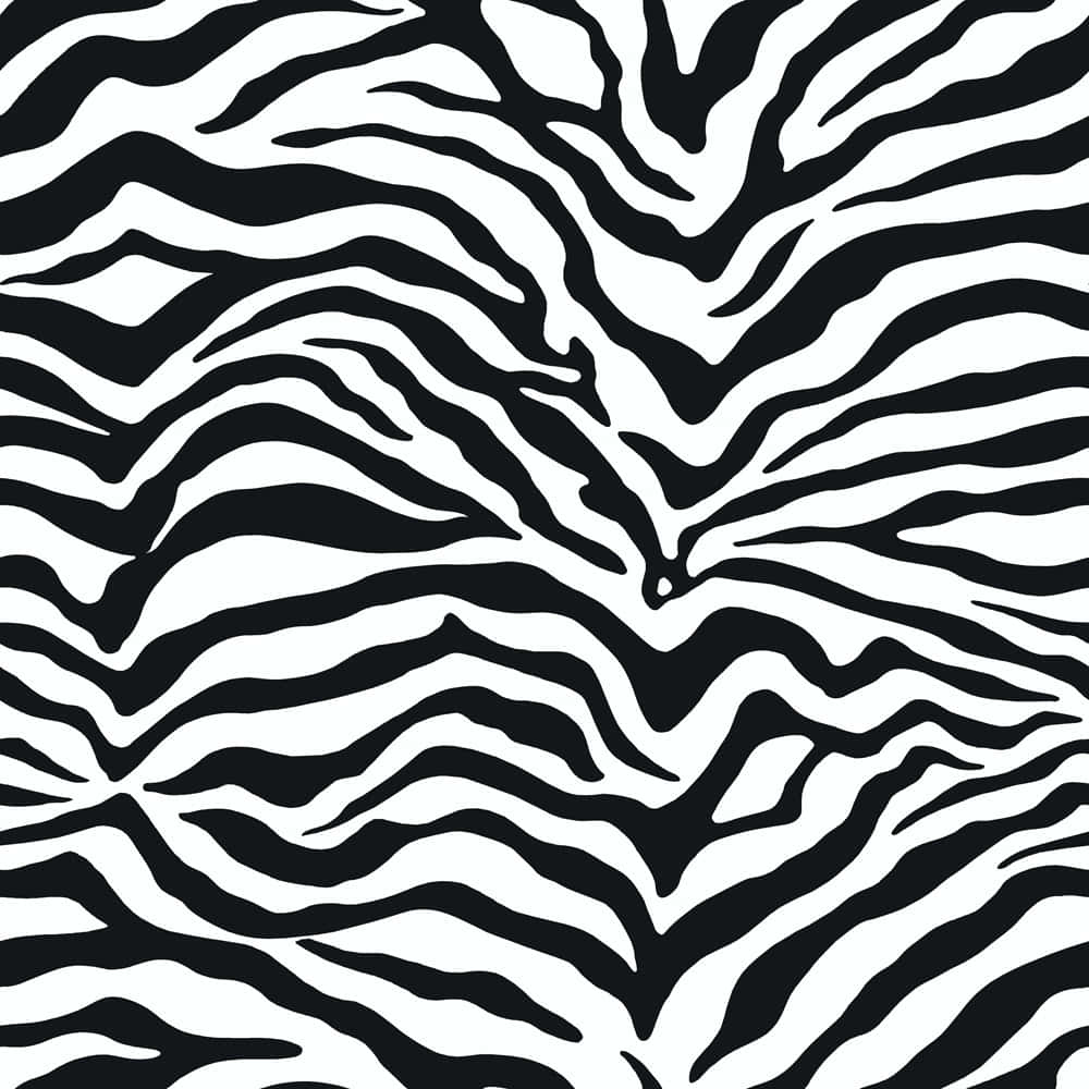 Classic Black And White Animal Print Background