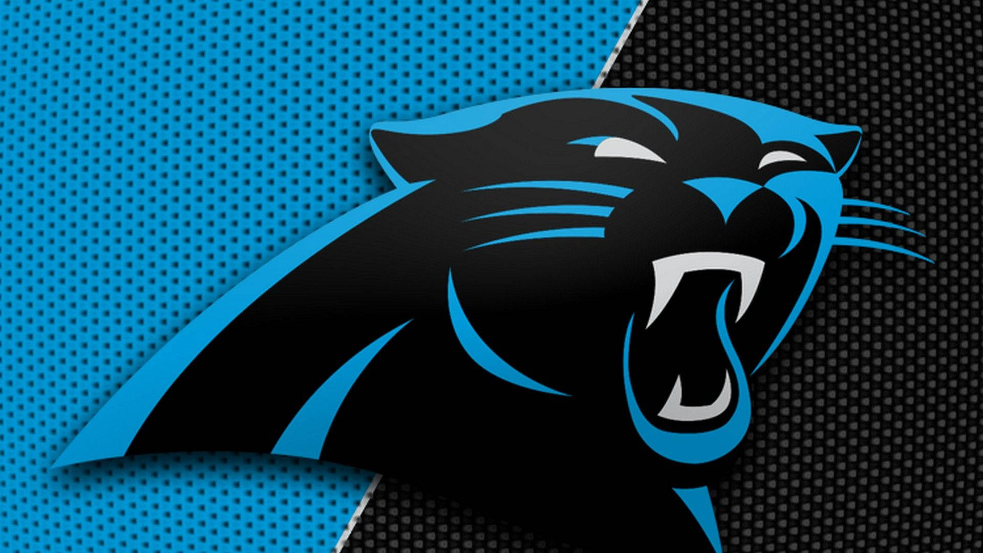 Classic Carolina Panthers Logo Background