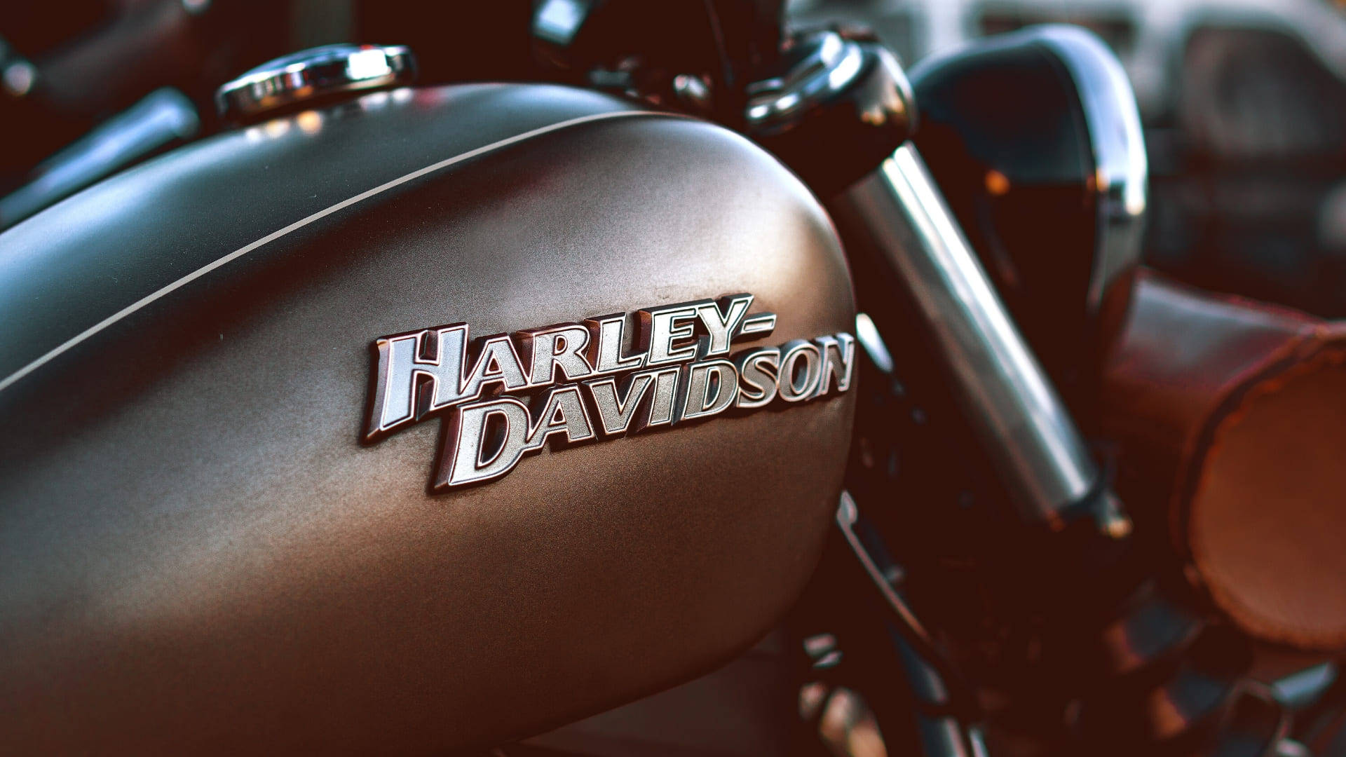 Classic Harley Davidson Logo