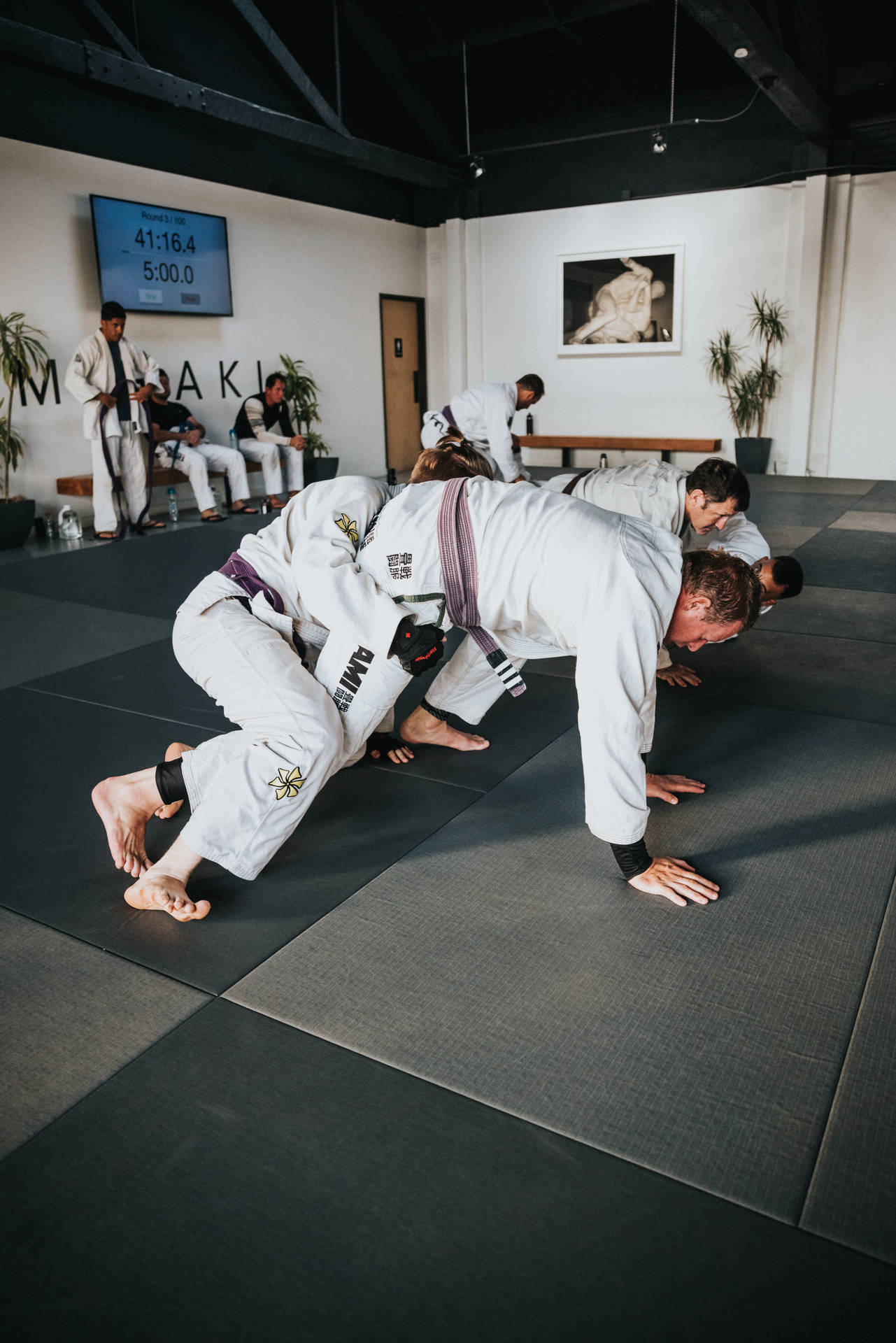 Classic Judo Technique