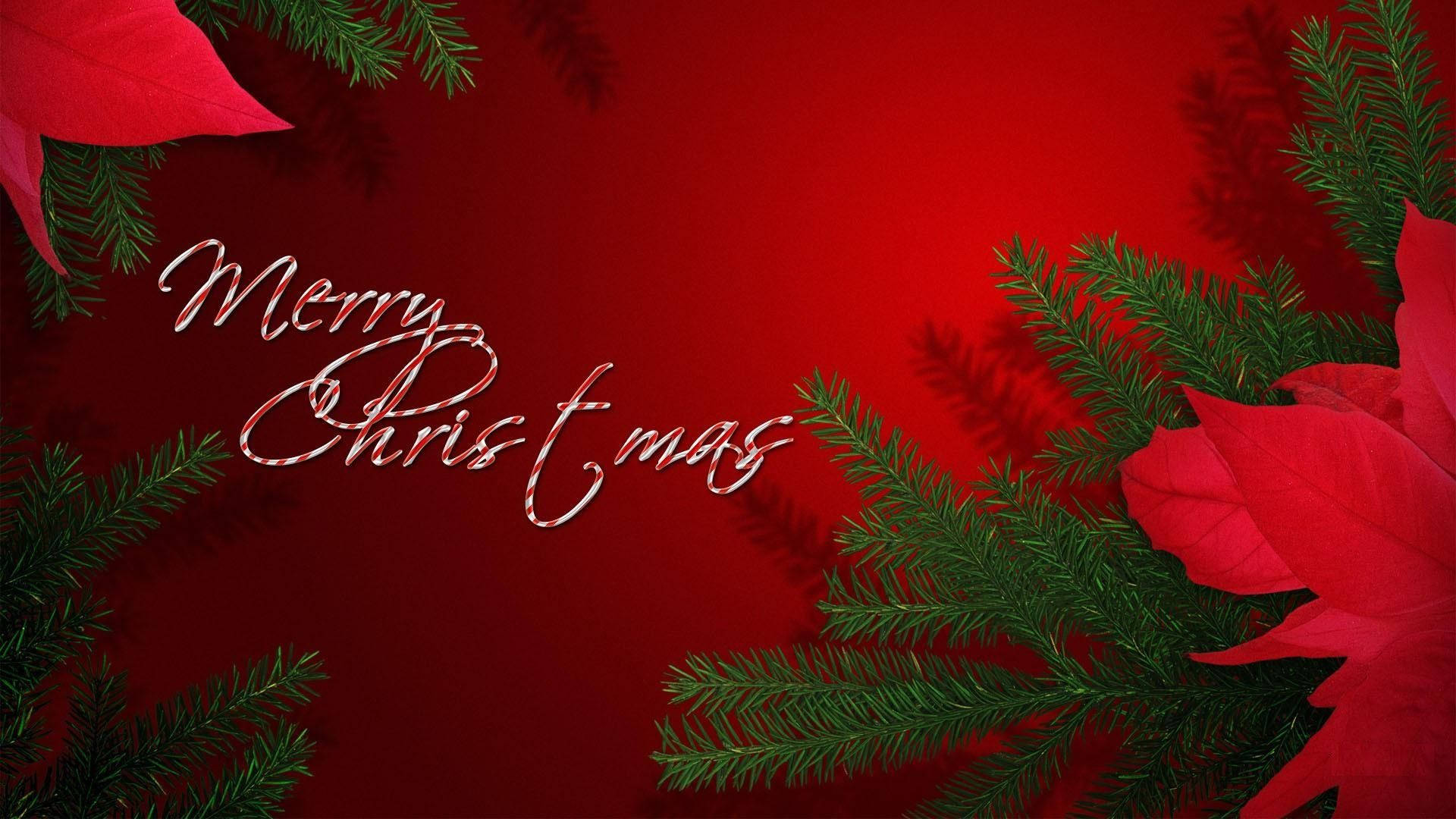 Classic Red Merry Christmas Background Background