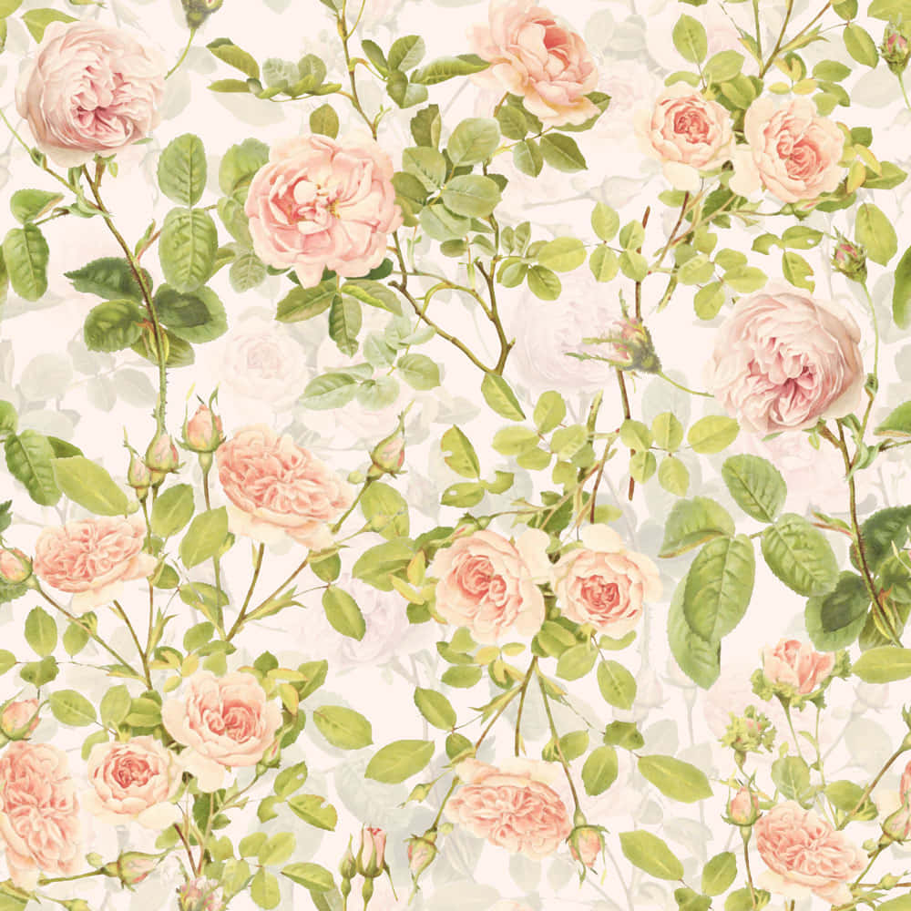 Classic, Timeless Vintage Peach Background