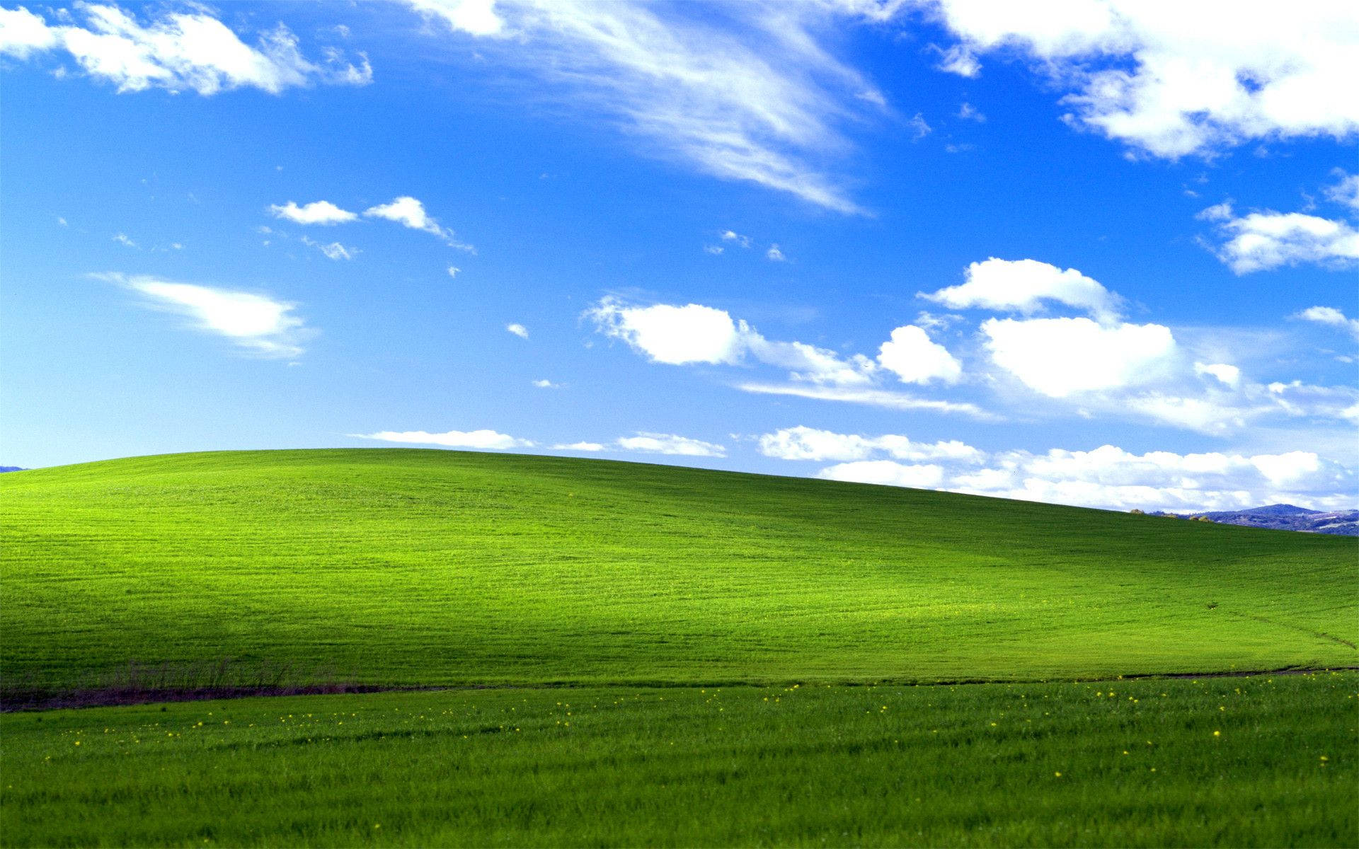 Classic Windows 98 Desktop Background