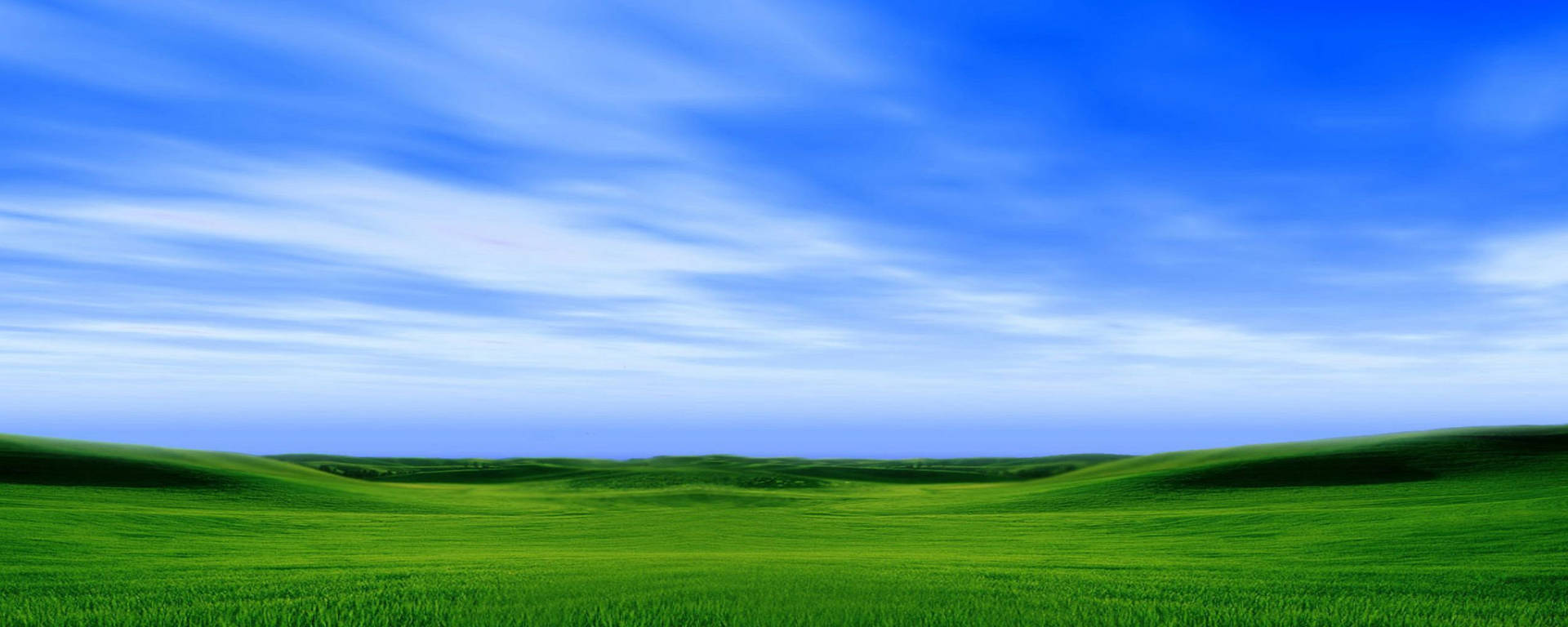 Classic Windows Bliss Monitor Background Background