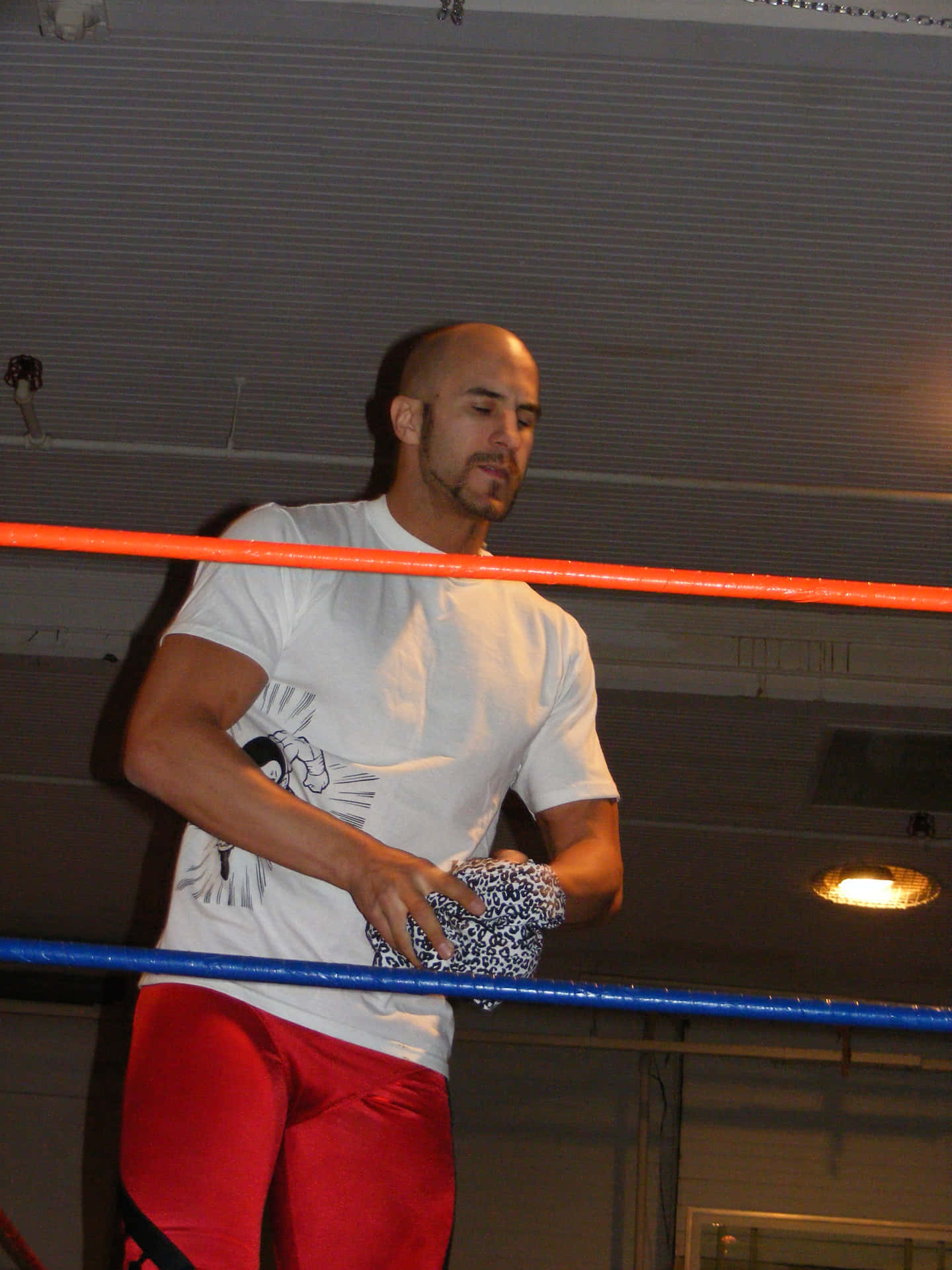 Claudio Castagnoli 2cw Show 2009 Background