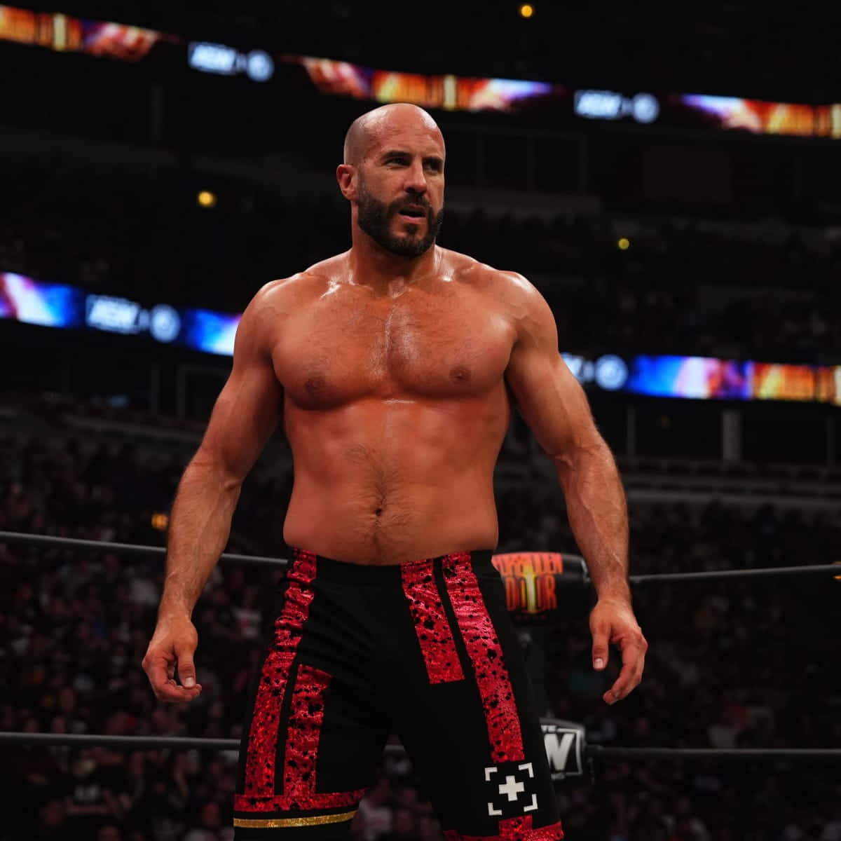 Claudio Castagnoli Against Zack Sabre Jr Background