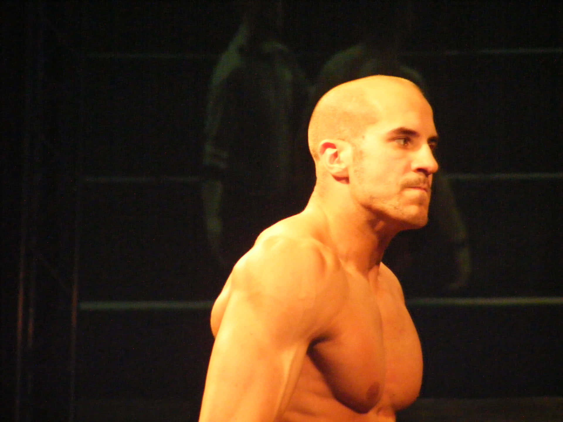 Claudio Castagnoli Chikara Show 2009 Background