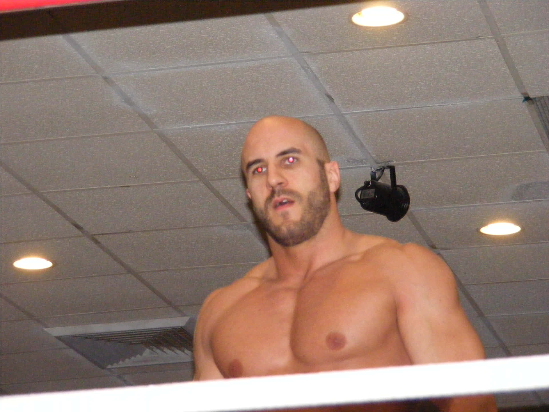 Claudio Castagnoli Red Eye Camera Flash At Chikara Event Background