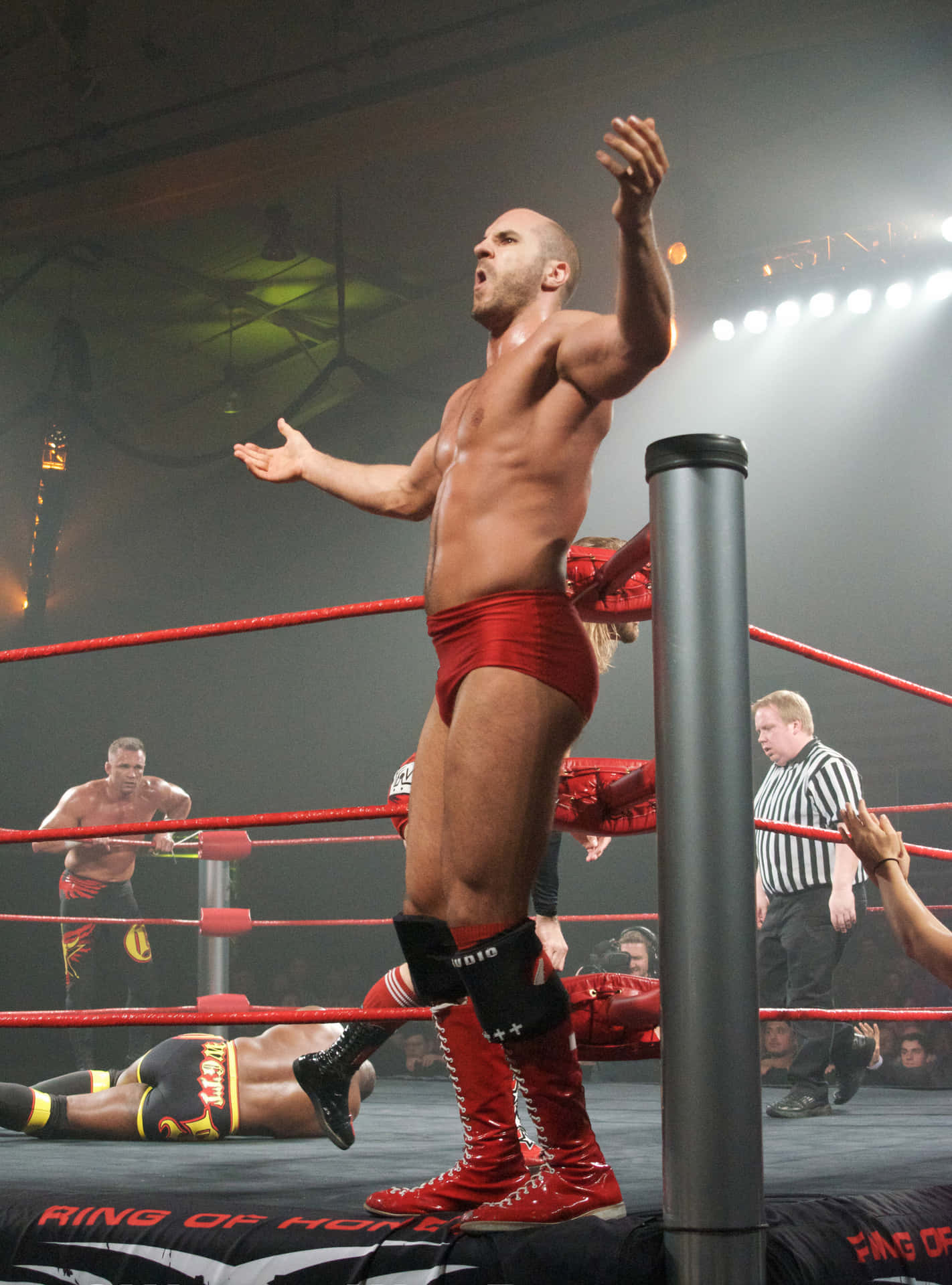 Claudio Castagnoli Ring Of Honor Show 2011 Background