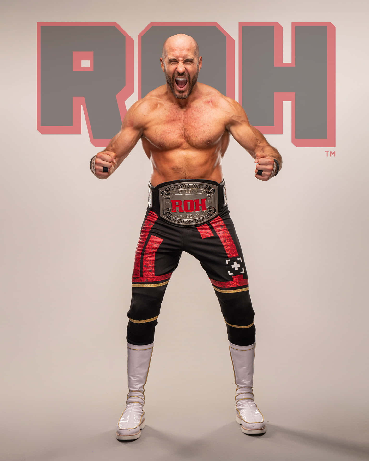 Claudio Castagnoli Roh Championship Belt Photoshoot Background