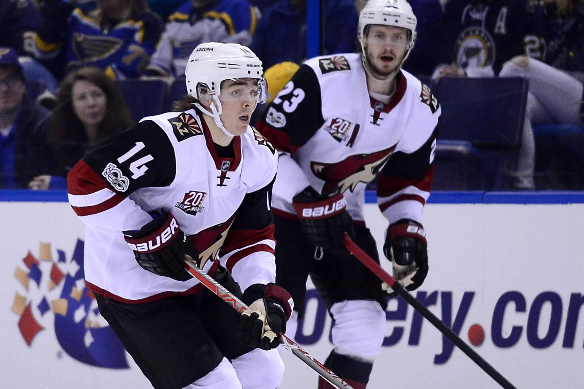 Clayton Keller Arizona Coyotes Vs. St. Louis Blues Background