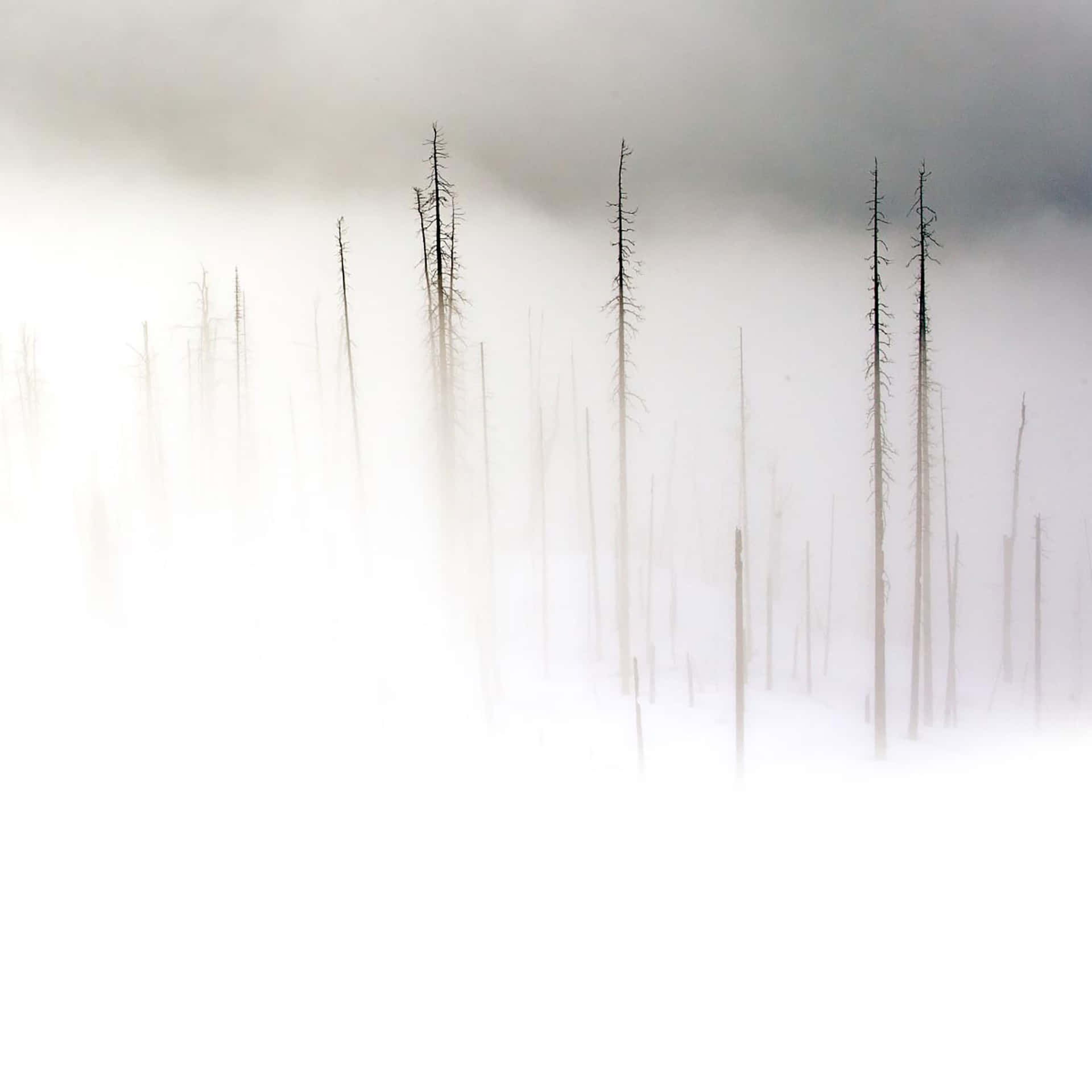 Clean And Modern Apple Ipad Background
