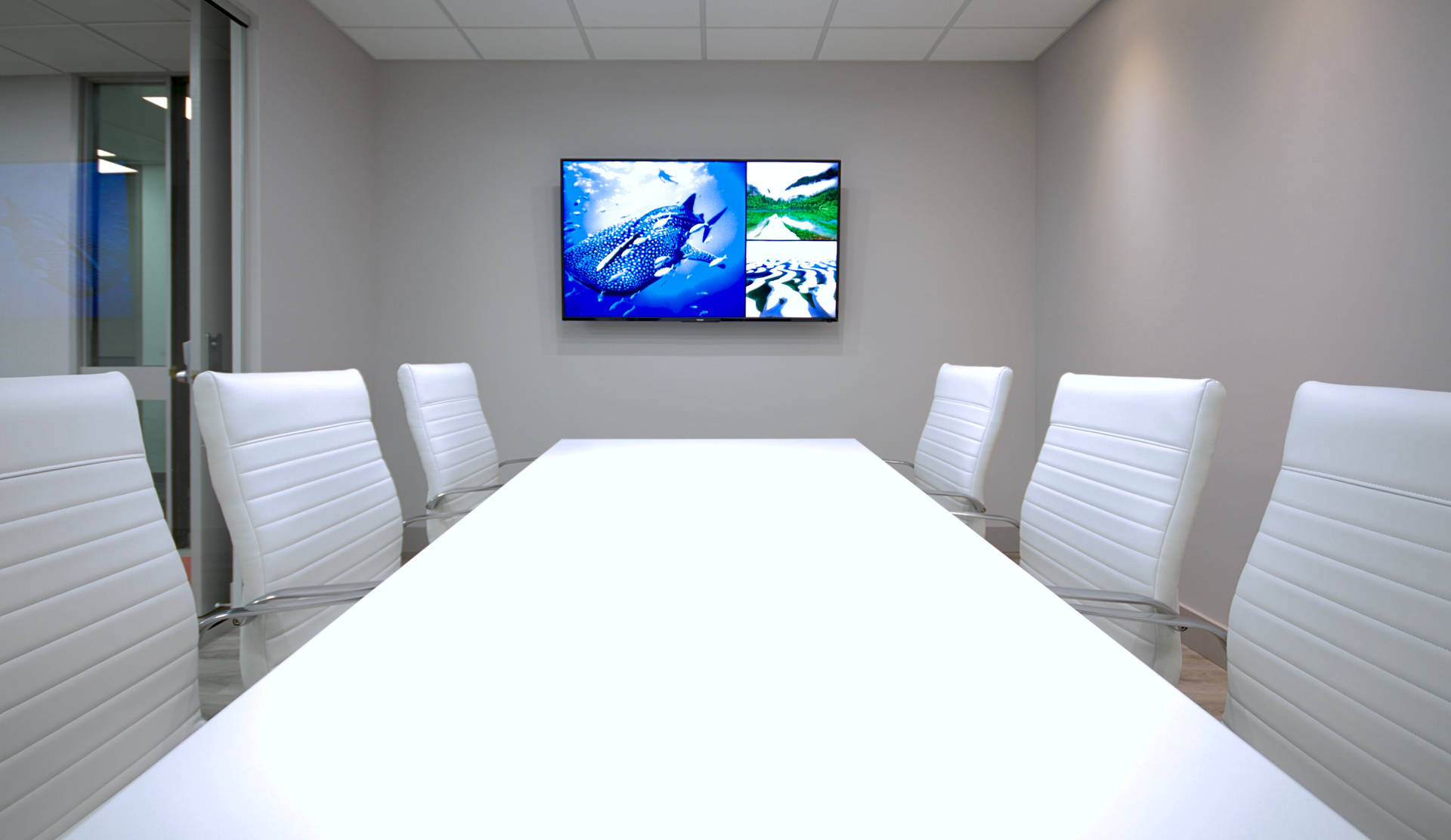 Clean Zoom Background Office Boardroom