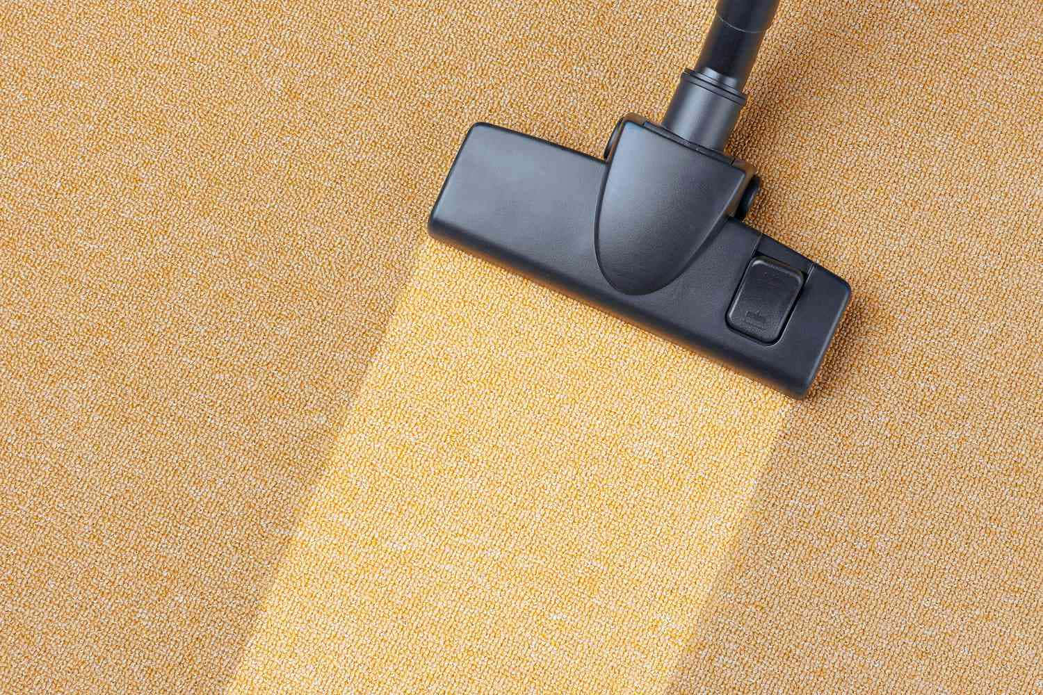 Cleaning Vacuum Cleaner Brown Carpet