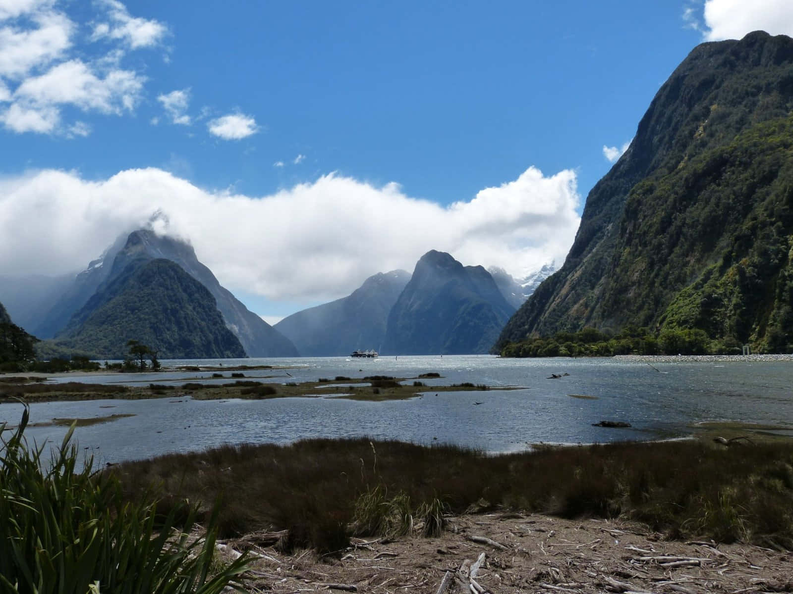 Clear Blue Sky Milford Sound Background