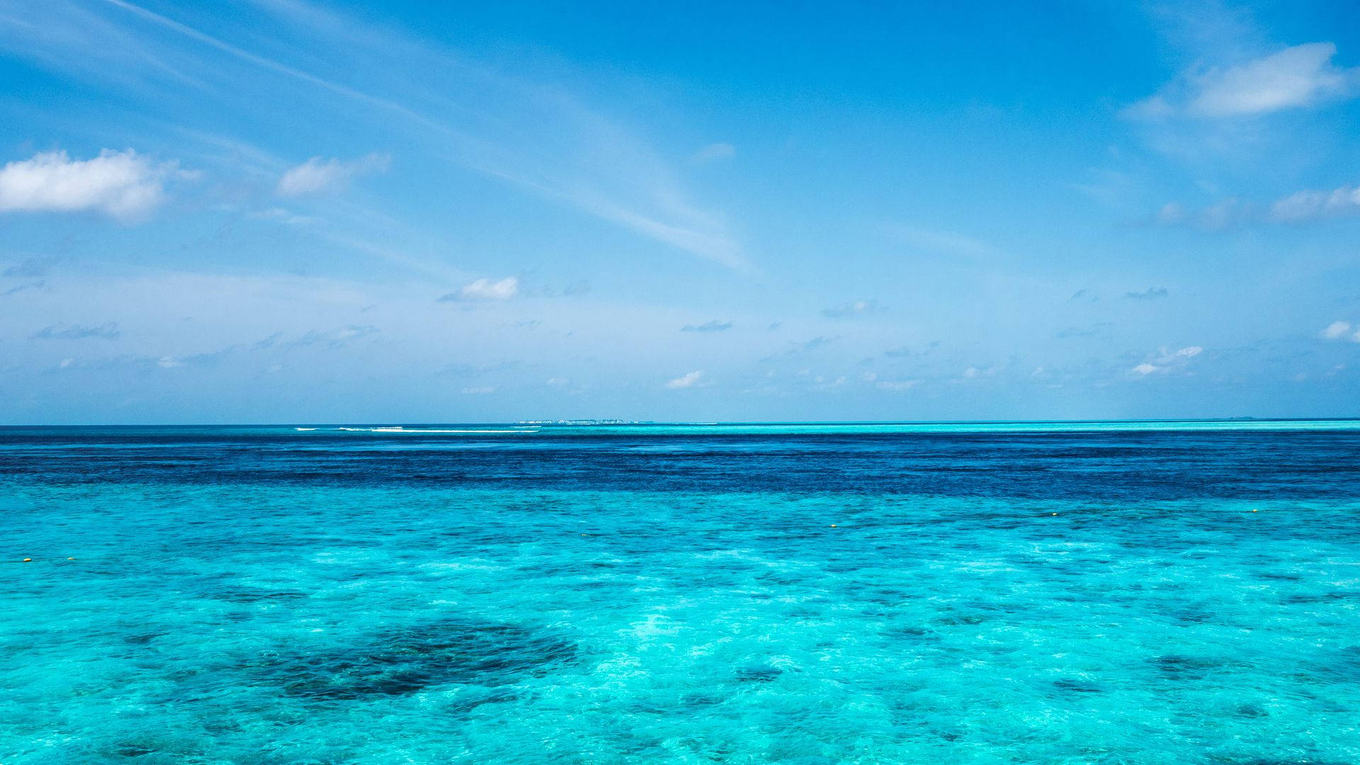 Clear Sea Waters Horizon Background