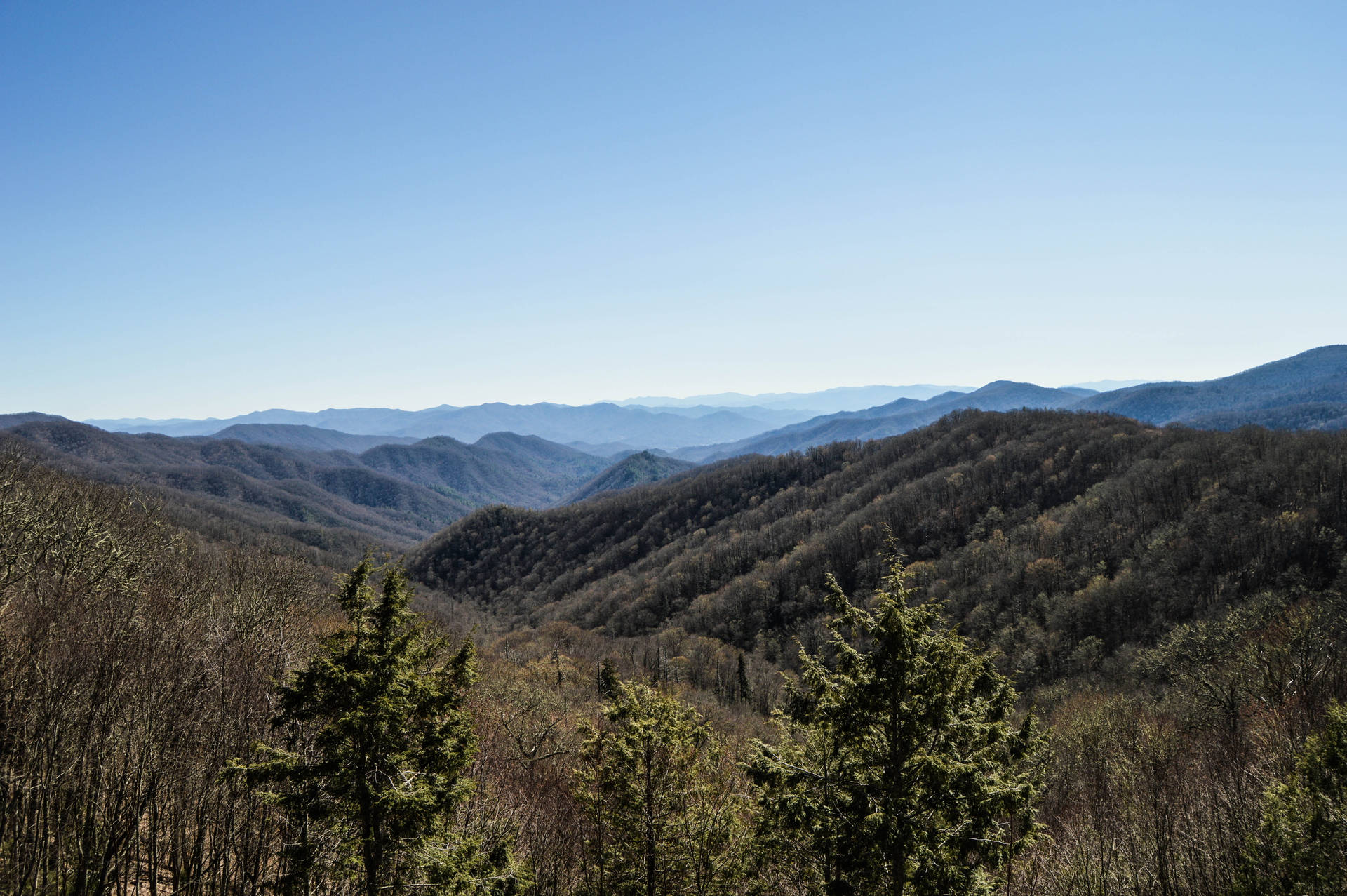 Clear Sky Above Smoky Mountains Background