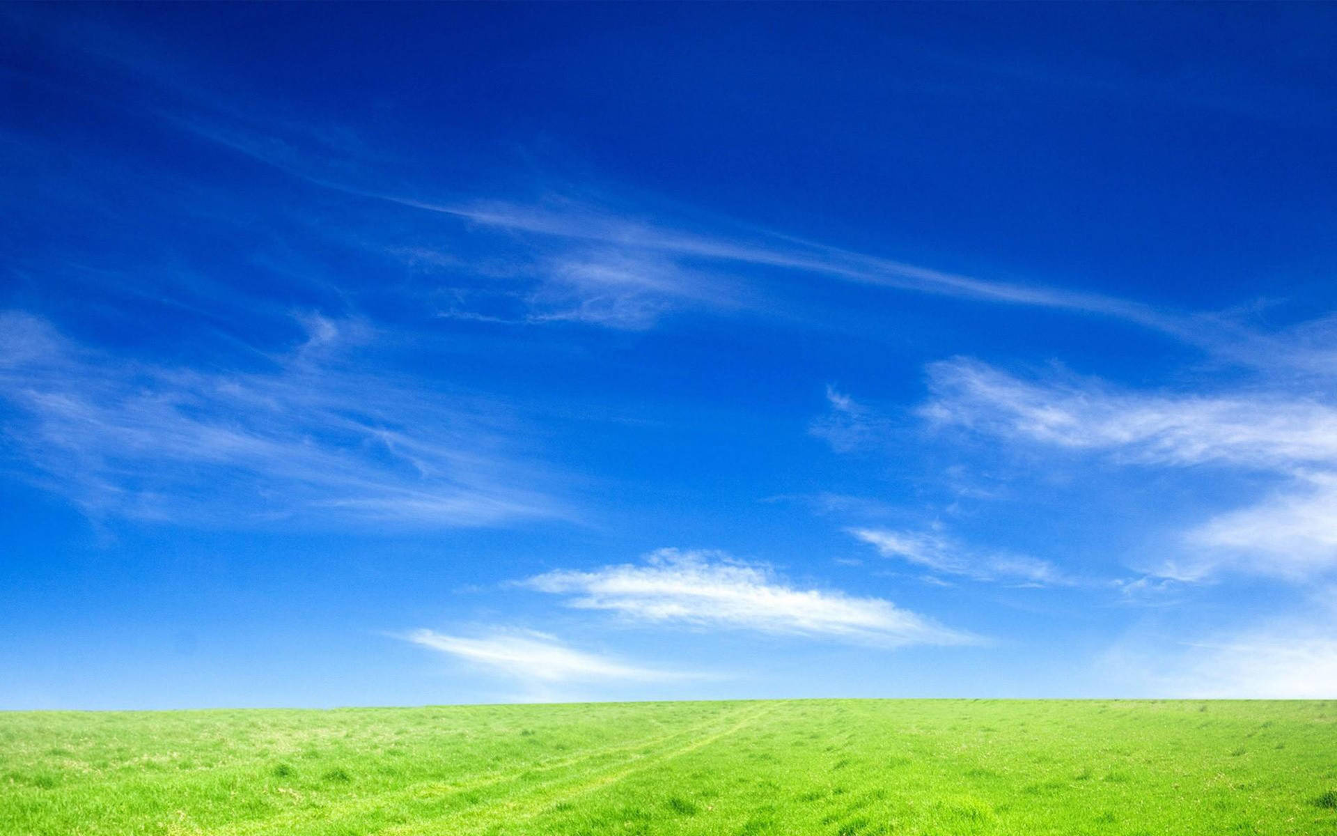 Clear Sky Background