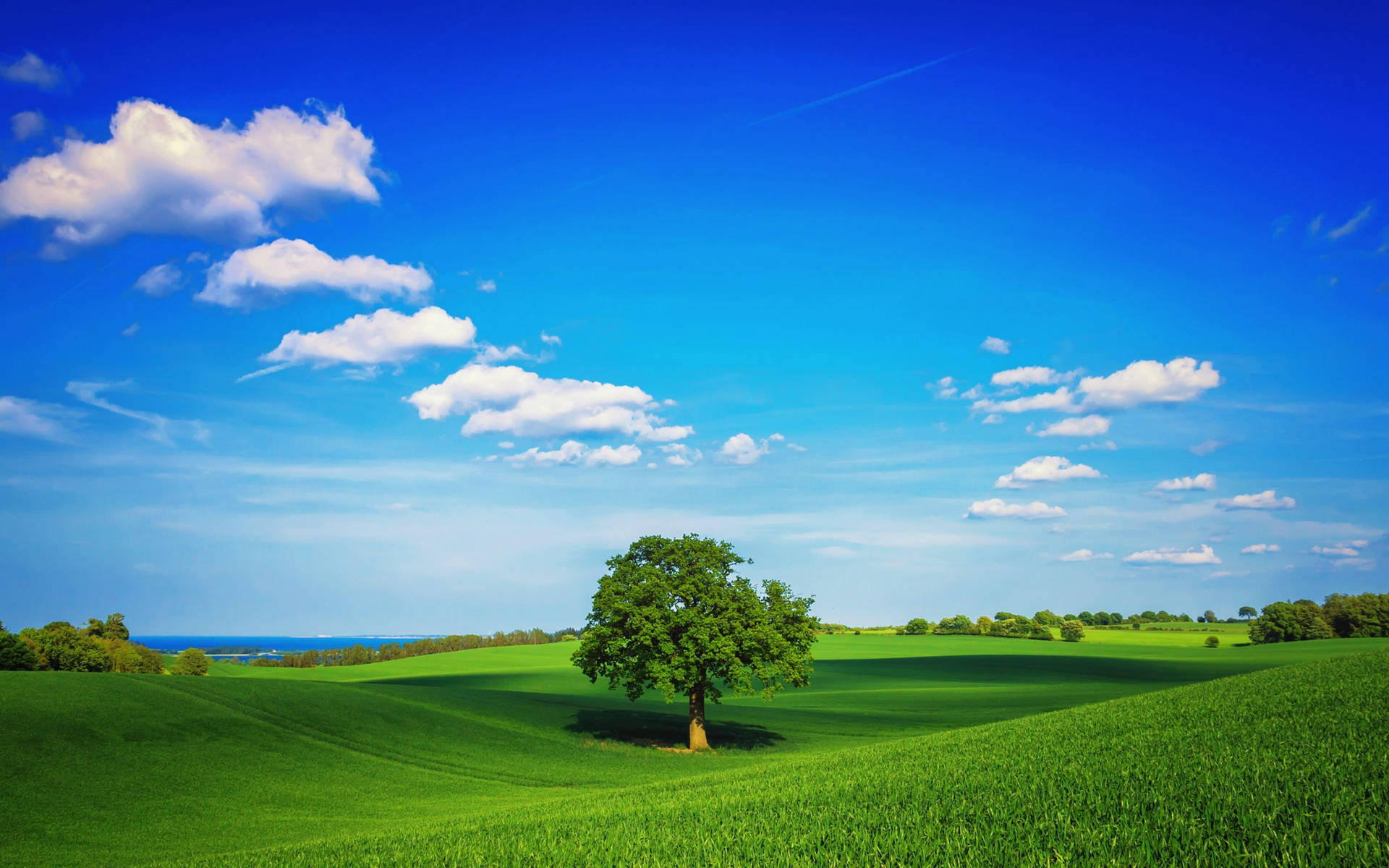 Clear Sky Over Meadows Background