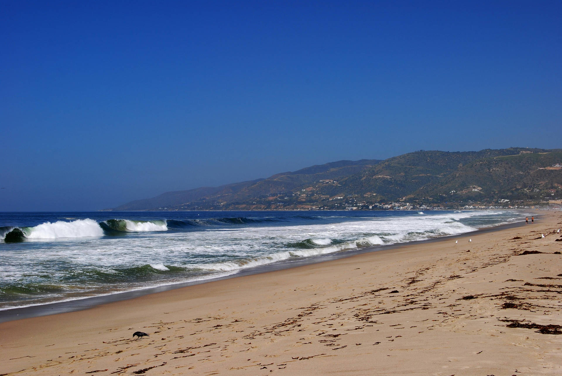 Clear Weather On Malibu Beach Background