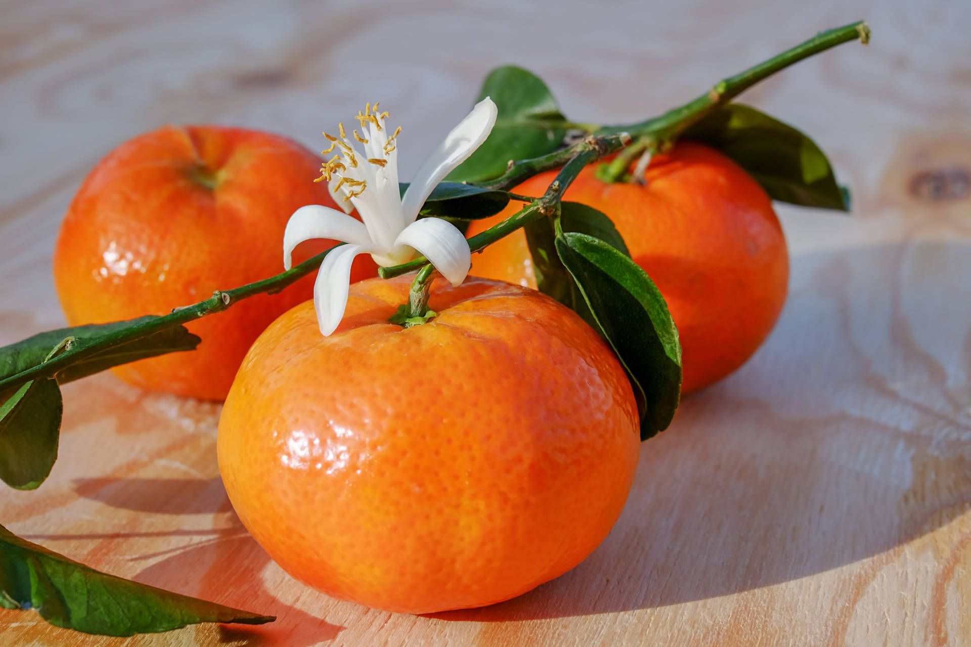 Clementine Fruits With Leaf And Blossom