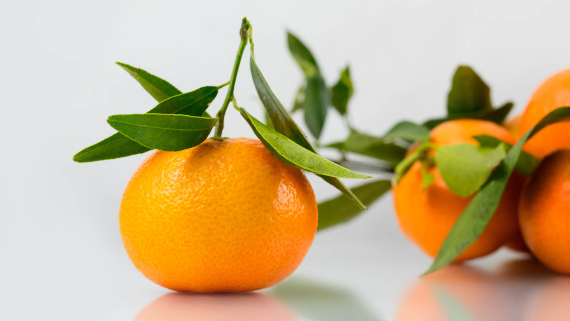 Clementine Fruits With Leaf Eye Level Shot